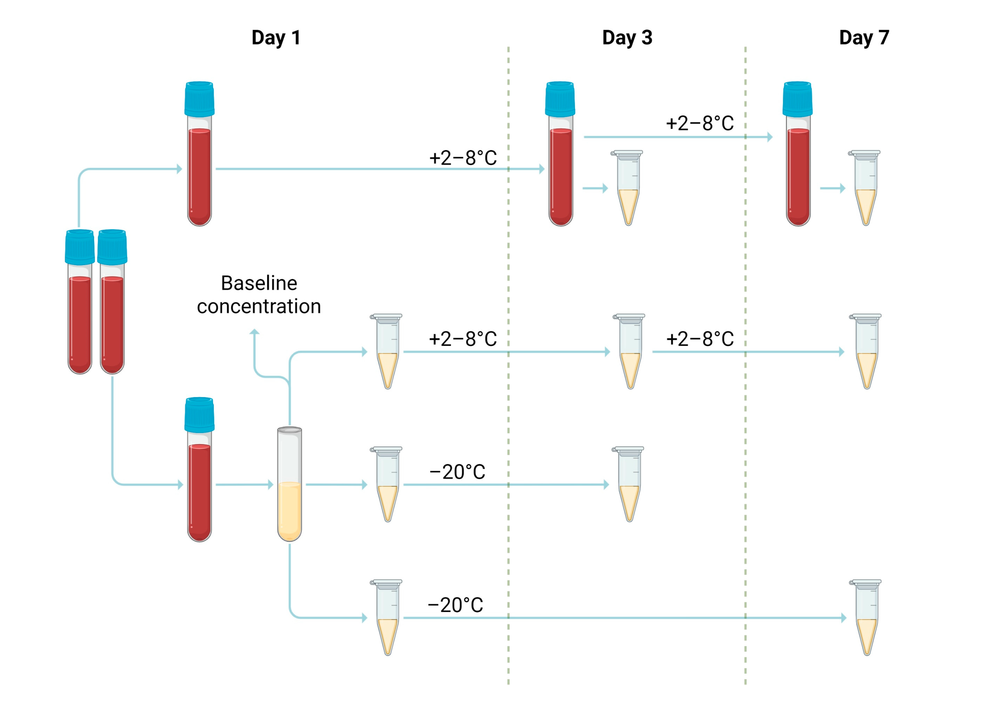 Medicina 59 01339 g001