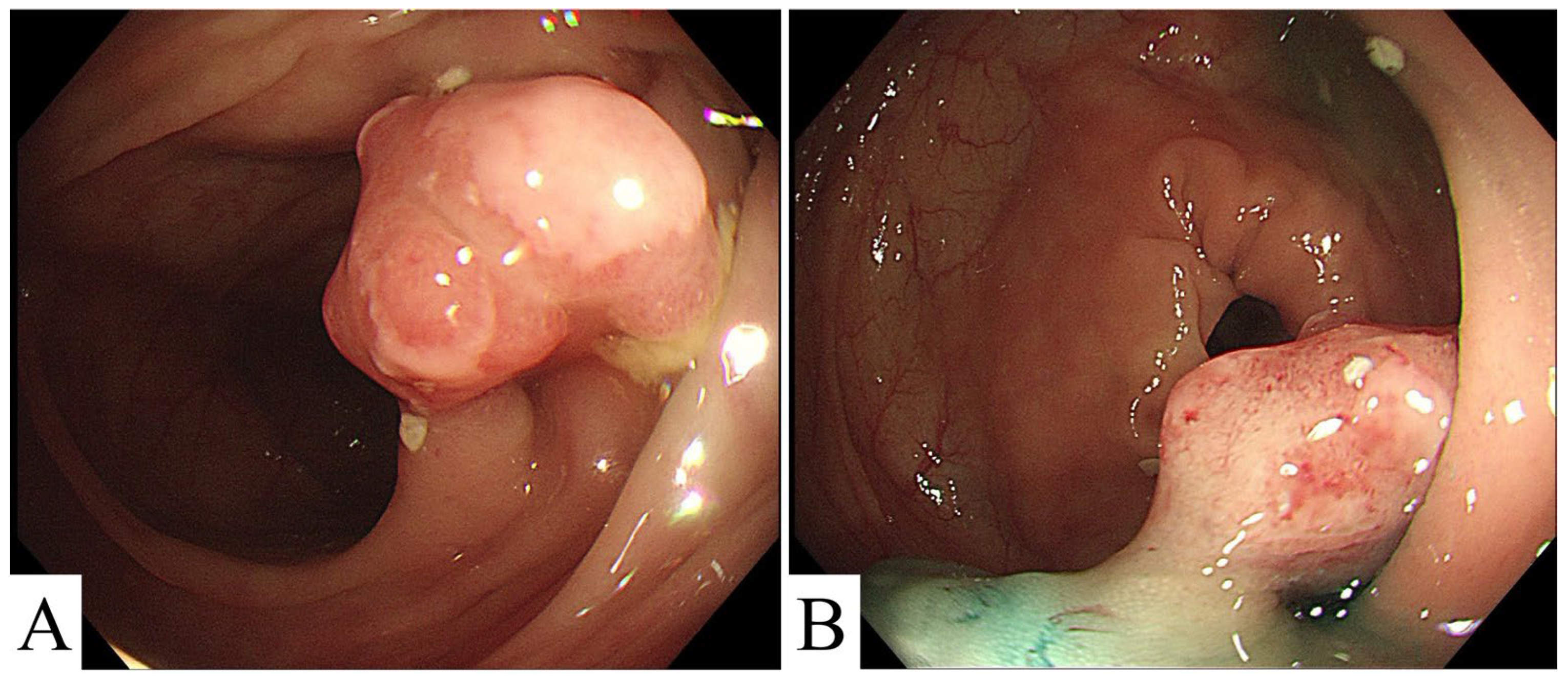 Medicina 59 01341 g001