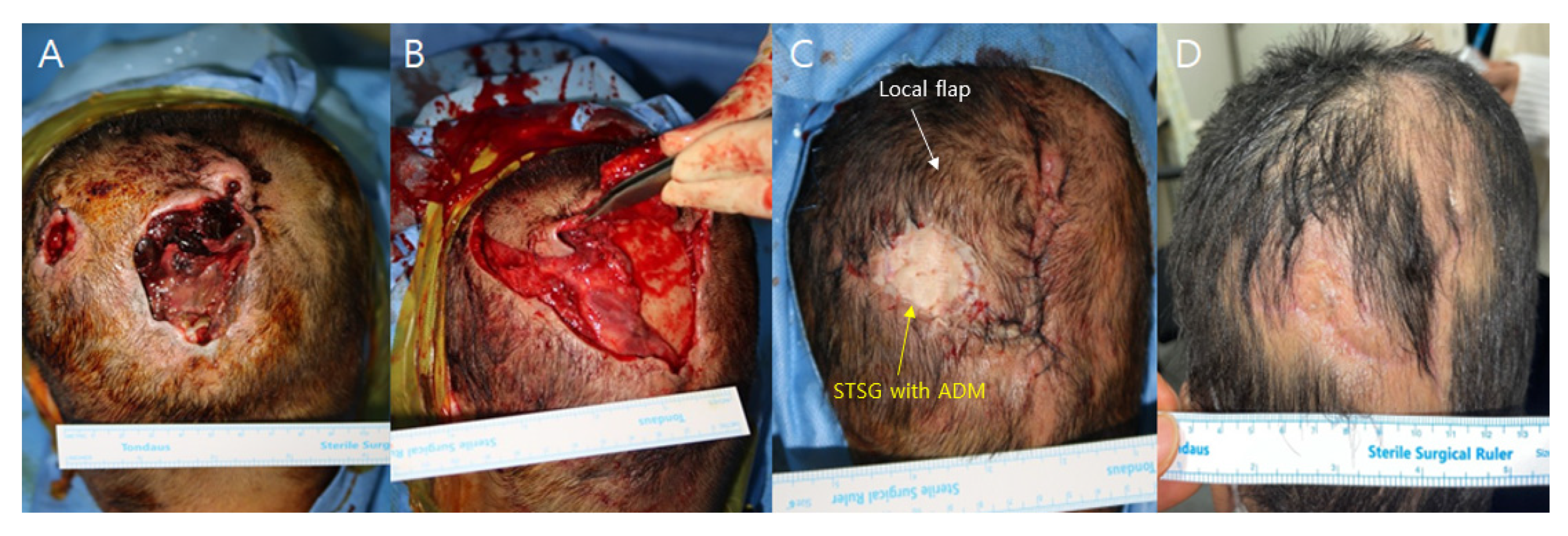 Medicina 59 01342 g001