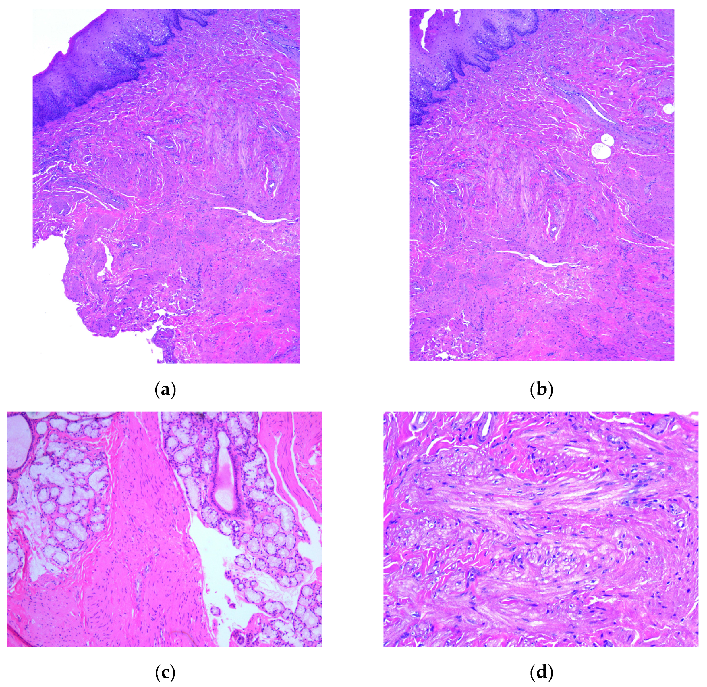Medicina 59 01346 g003