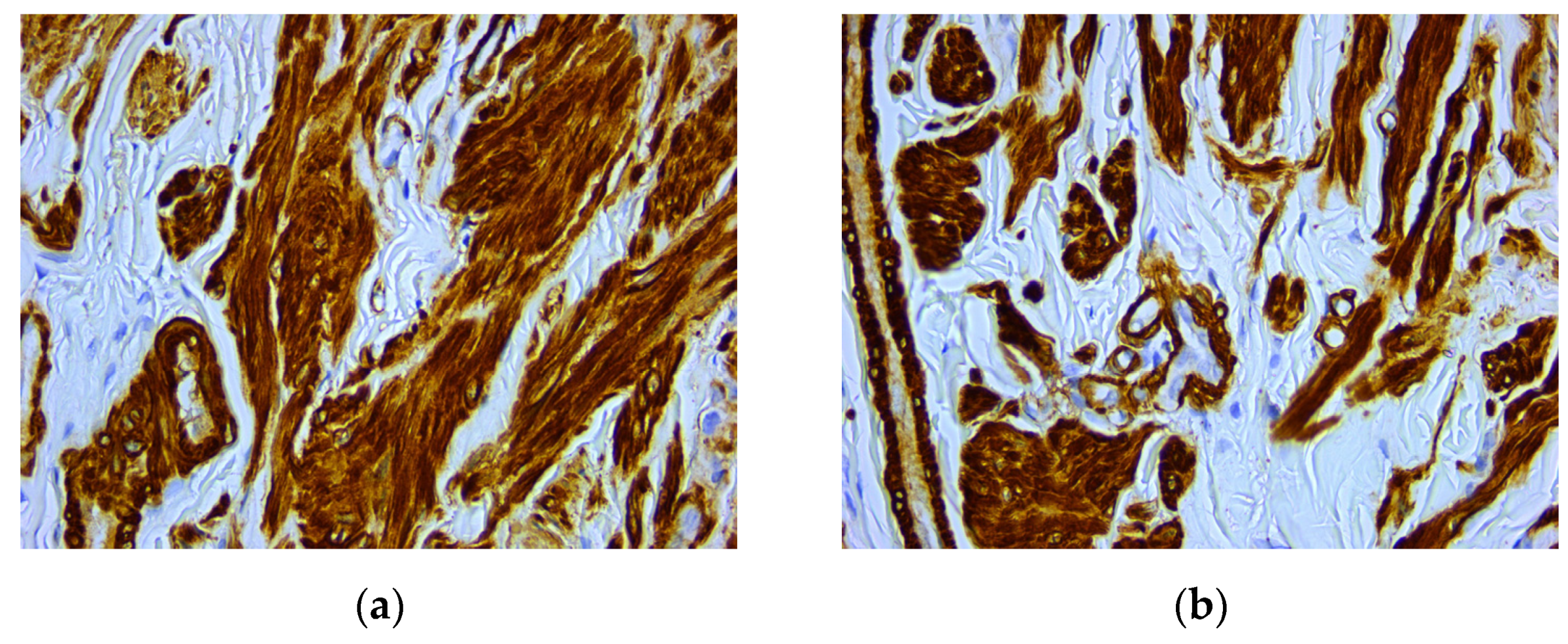 Medicina 59 01346 g005