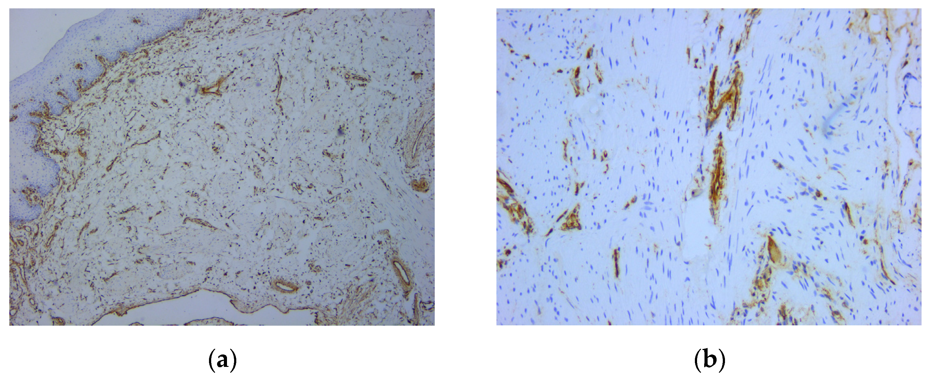 Medicina 59 01346 g006