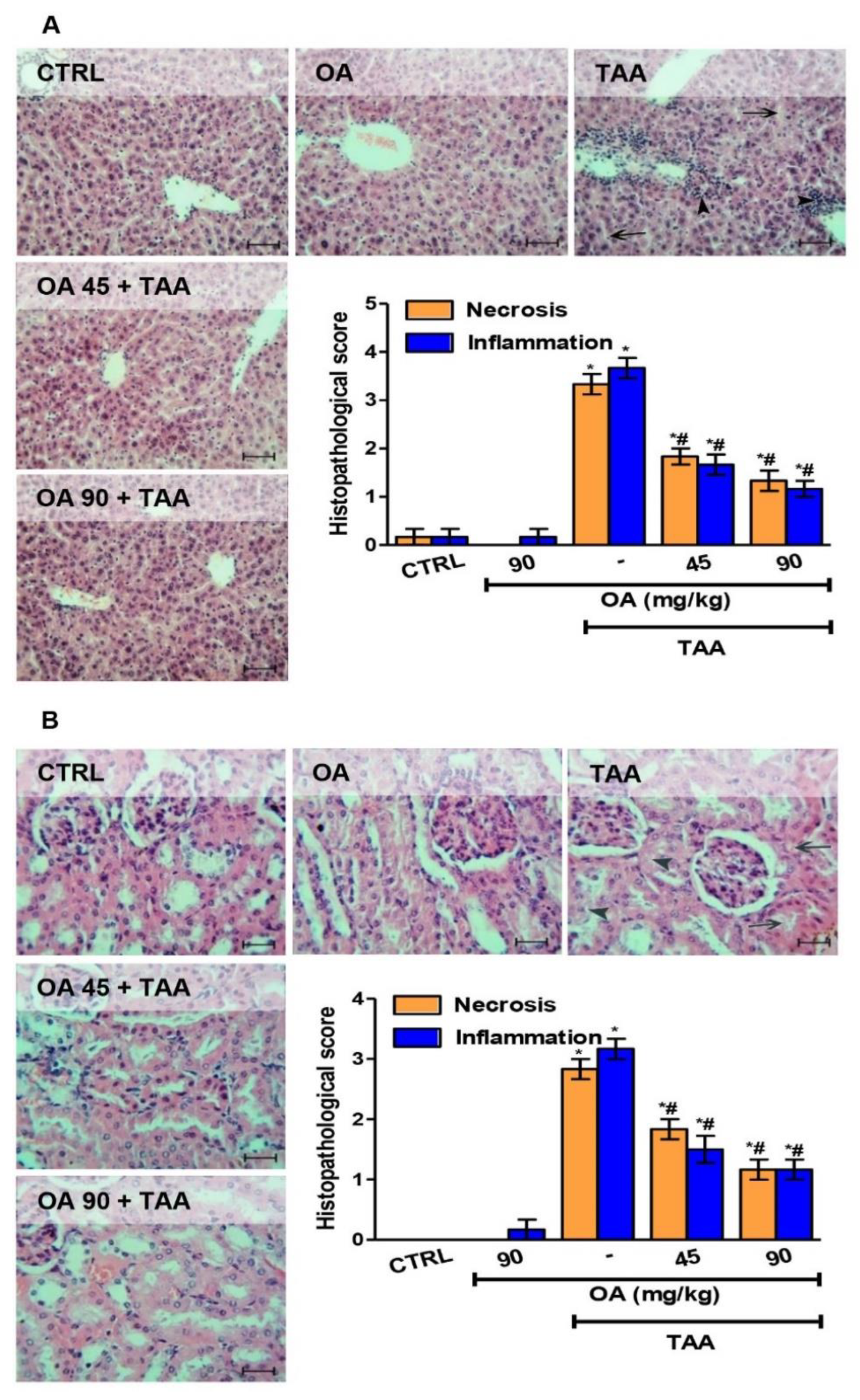 Medicina 59 01351 g002