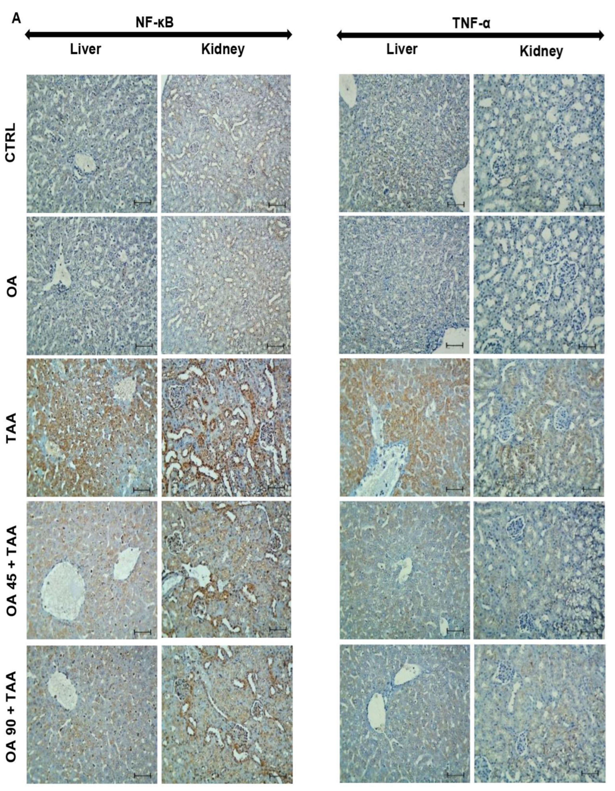 Medicina 59 01351 g004a