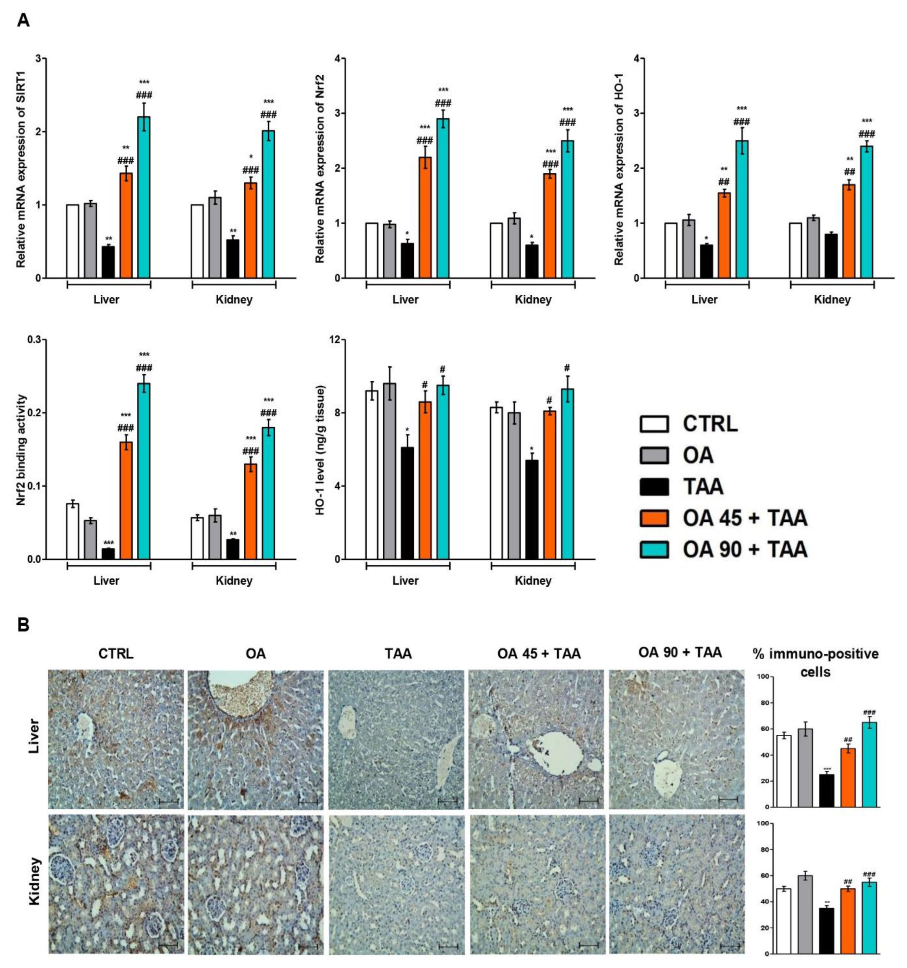 Medicina 59 01351 g006