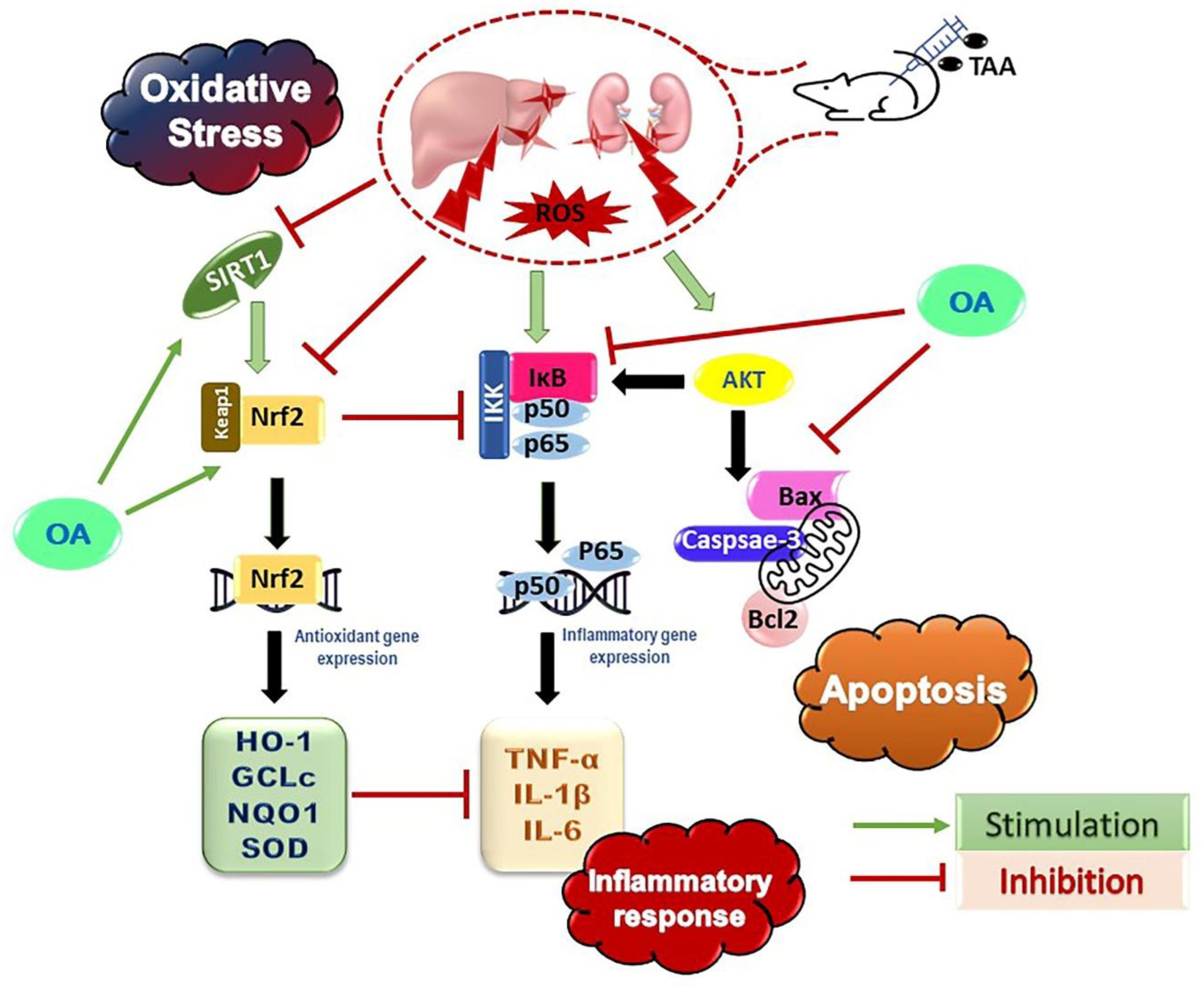 Medicina 59 01351 g007