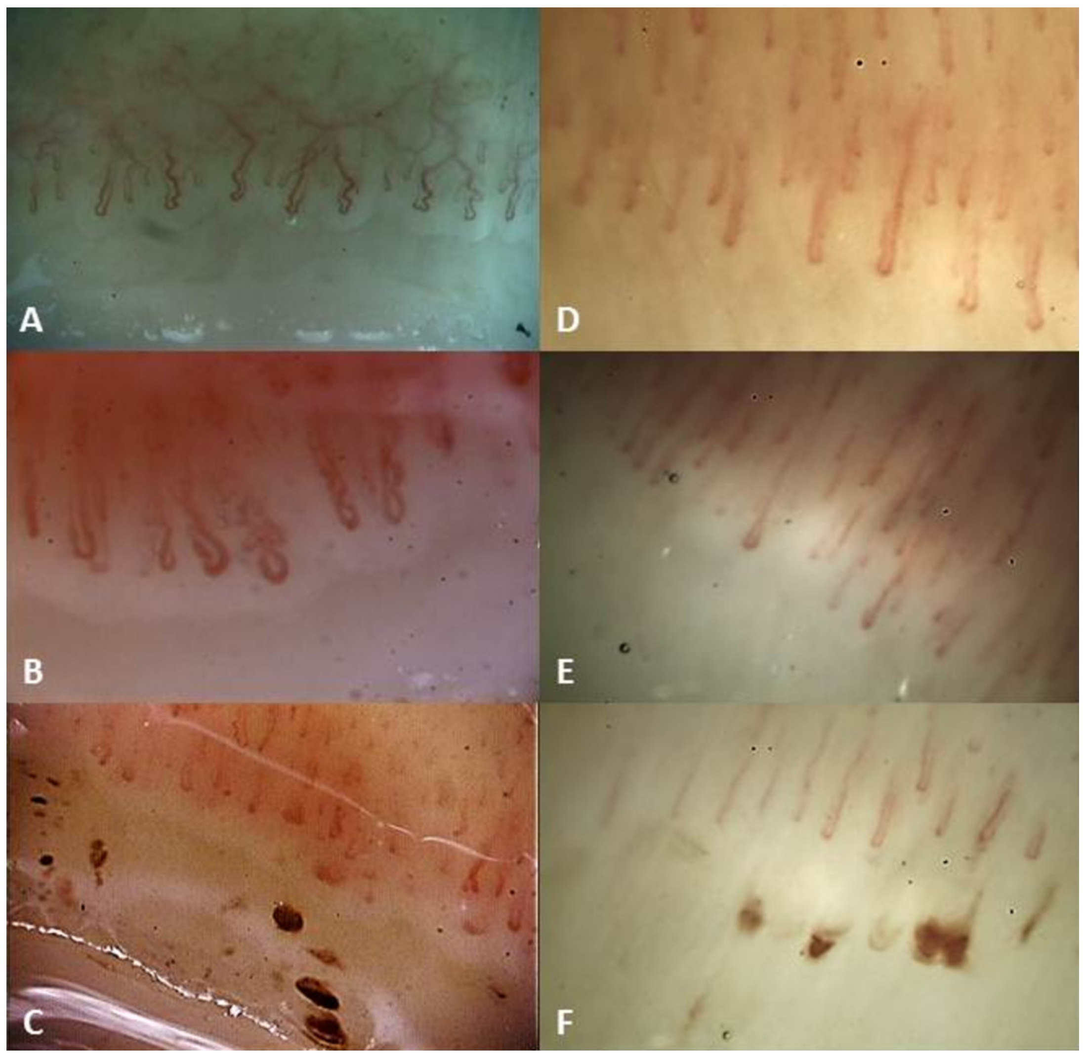 Medicina 59 01356 g001 Medicina 59 01356 g001