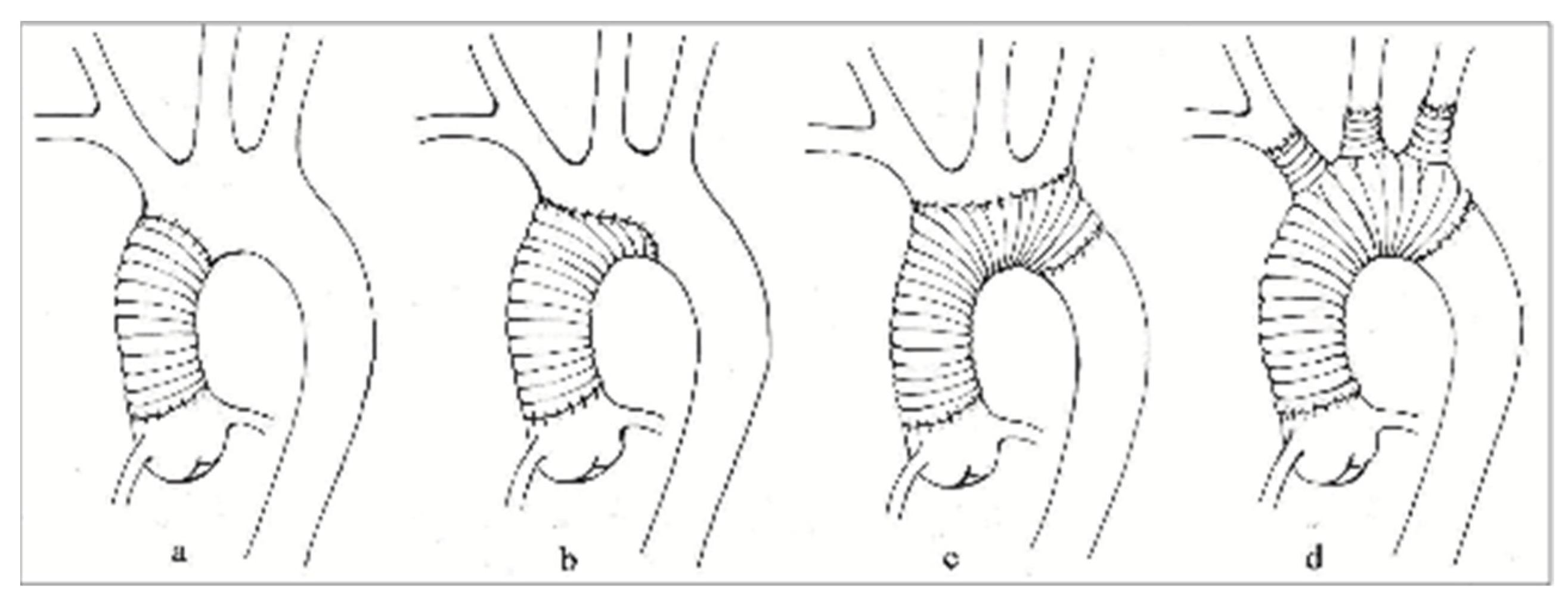 Medicina 59 01365 g001