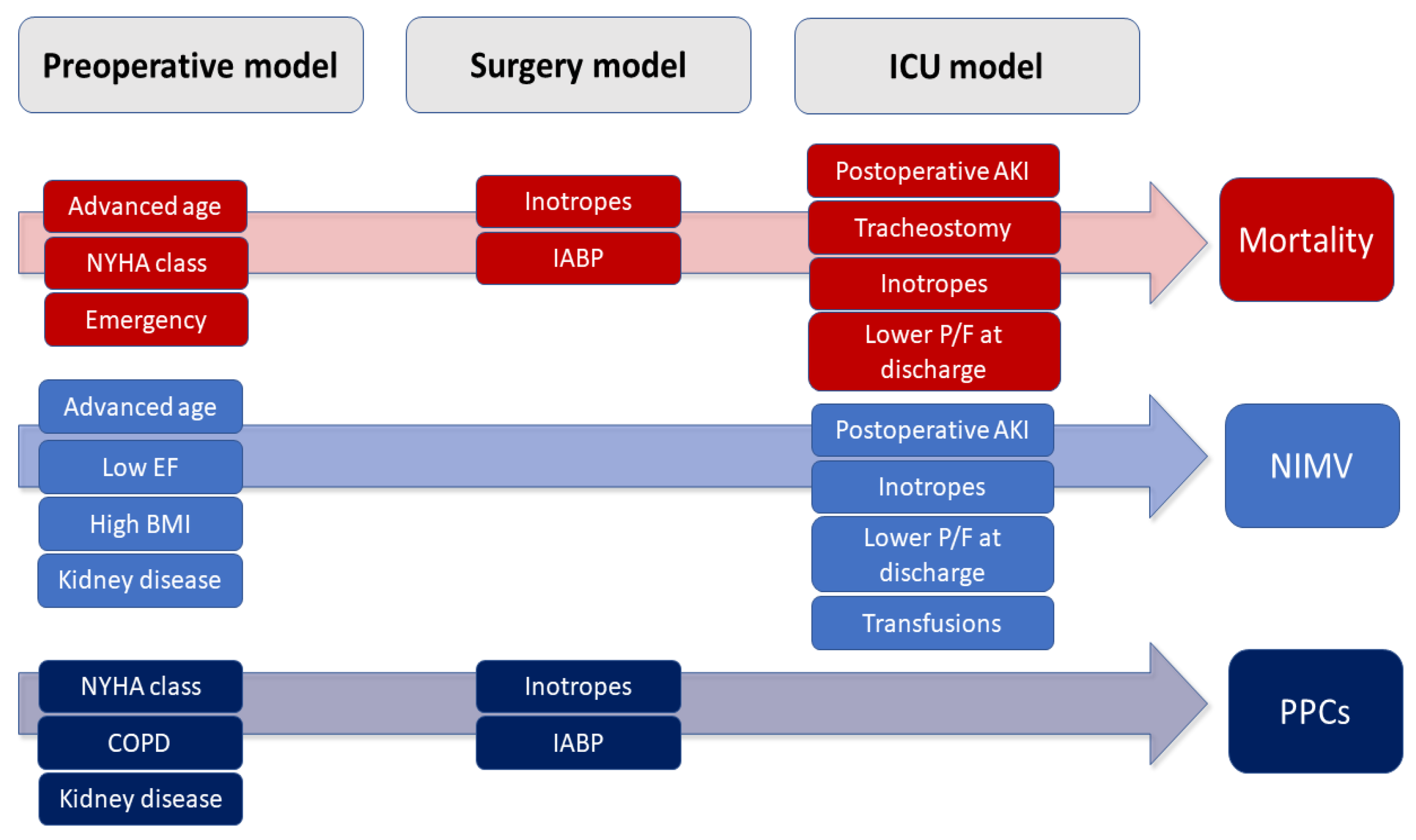 Medicina 59 01368 g001