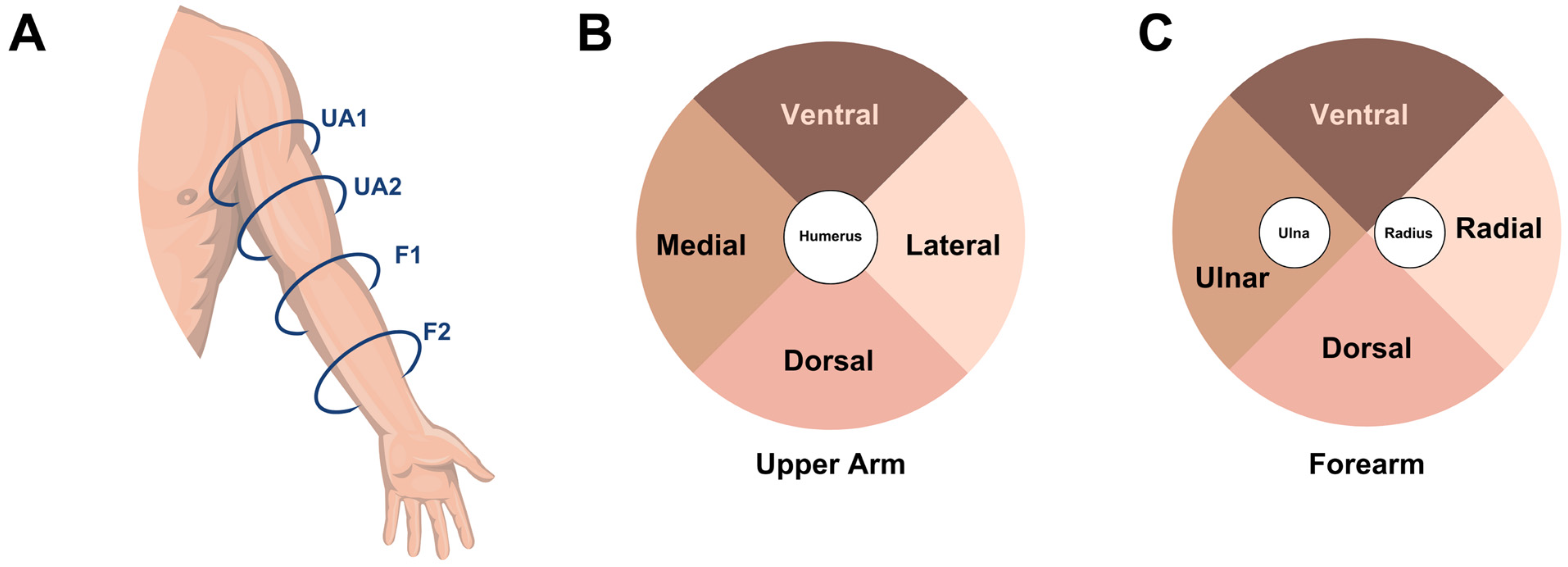 Medicina 59 01369 g001