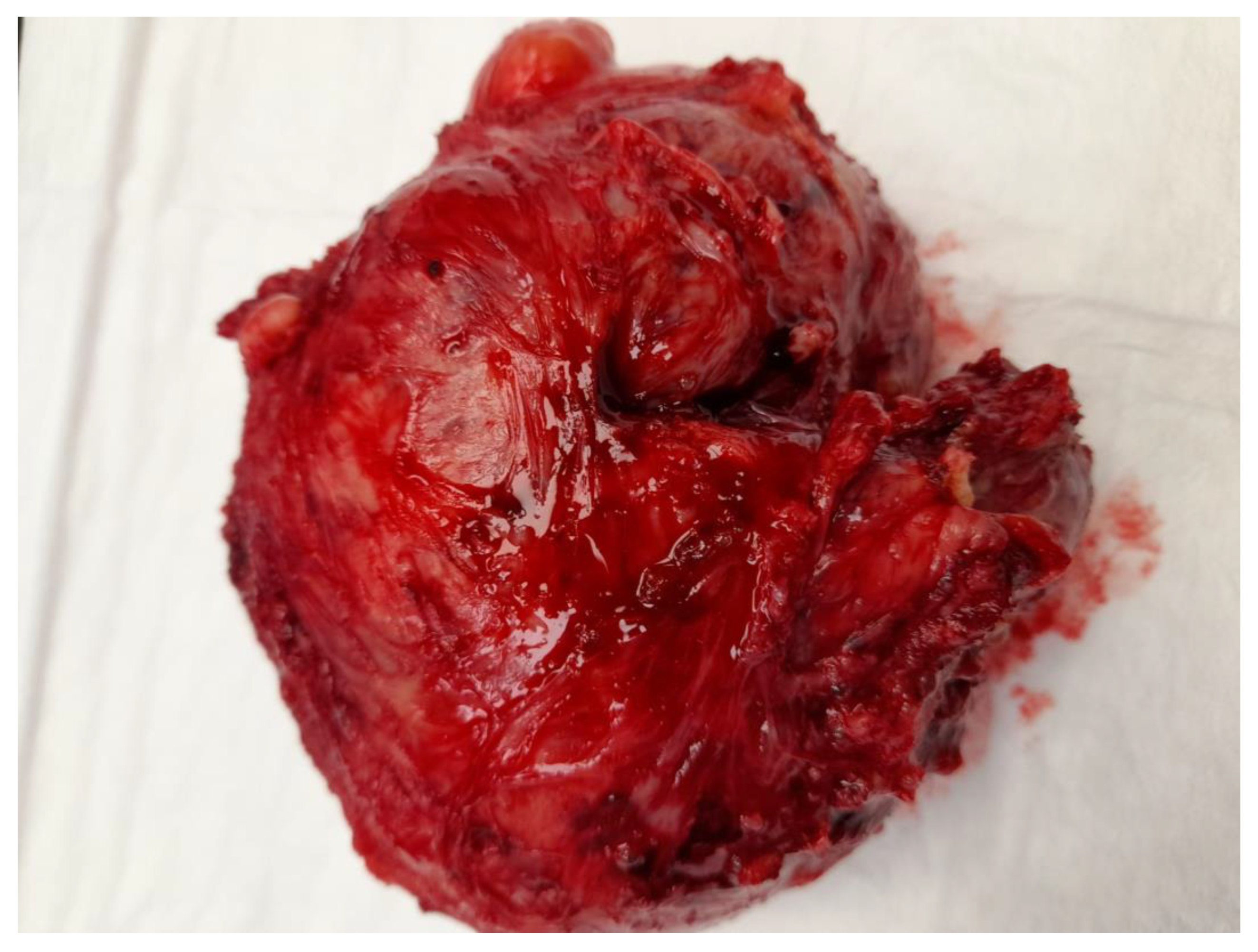 Medicina 59 01371 g001