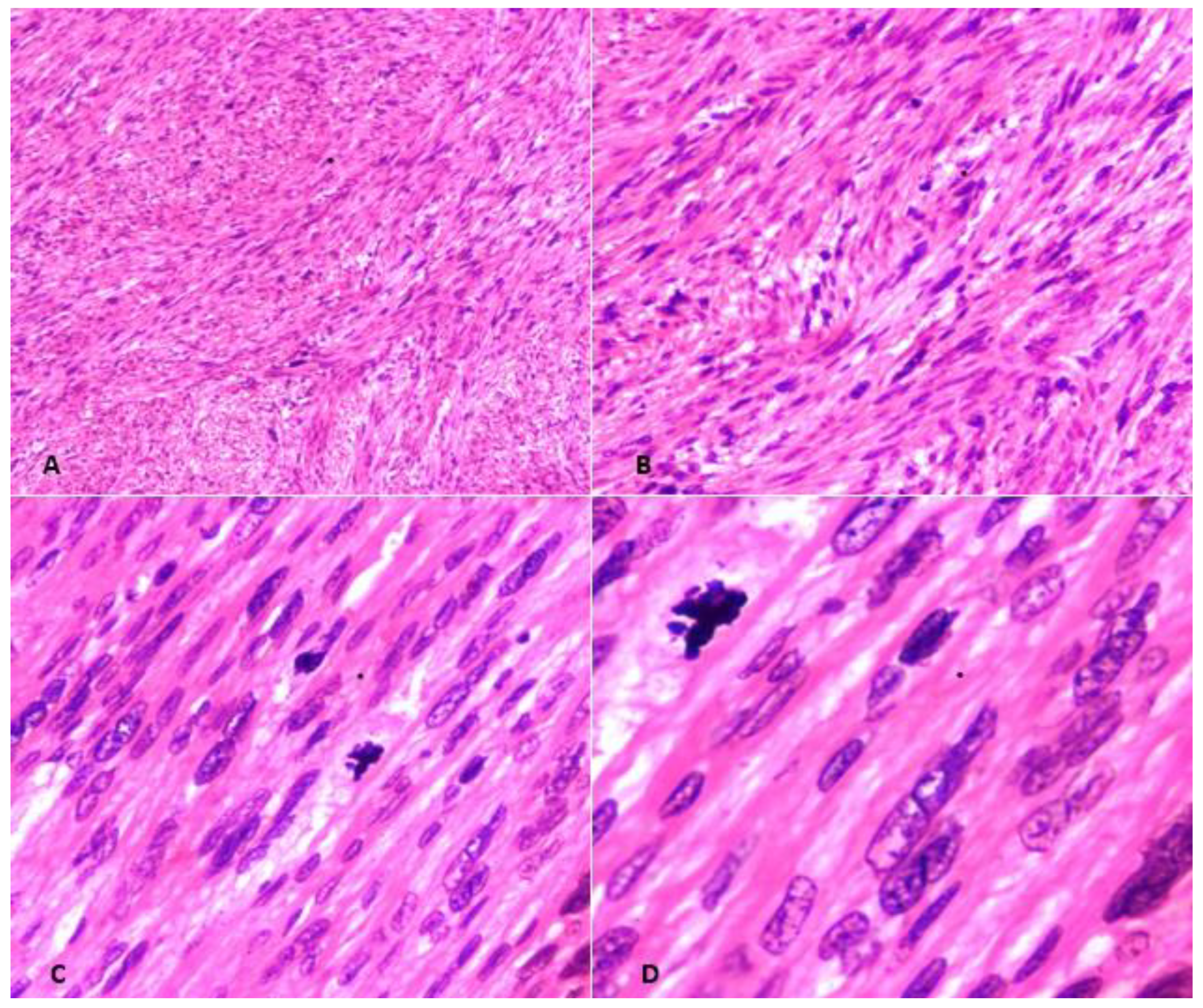 Medicina 59 01371 g003