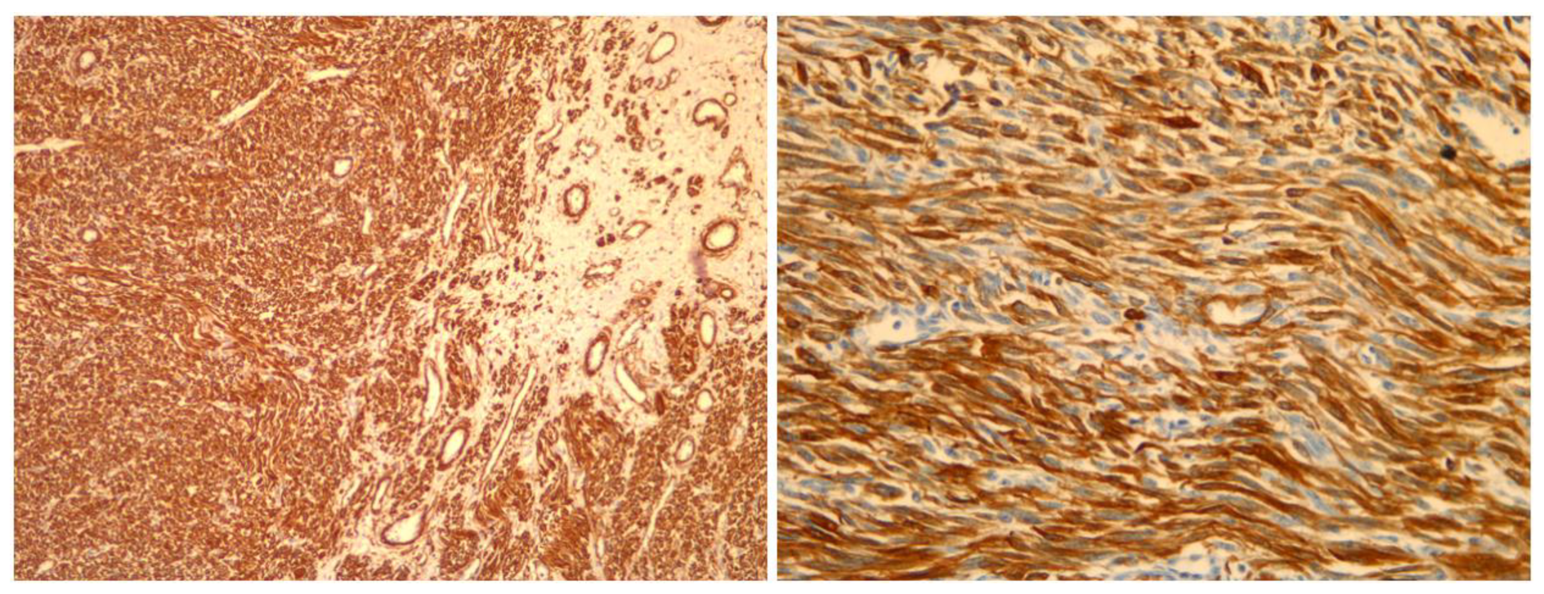 Medicina 59 01371 g005