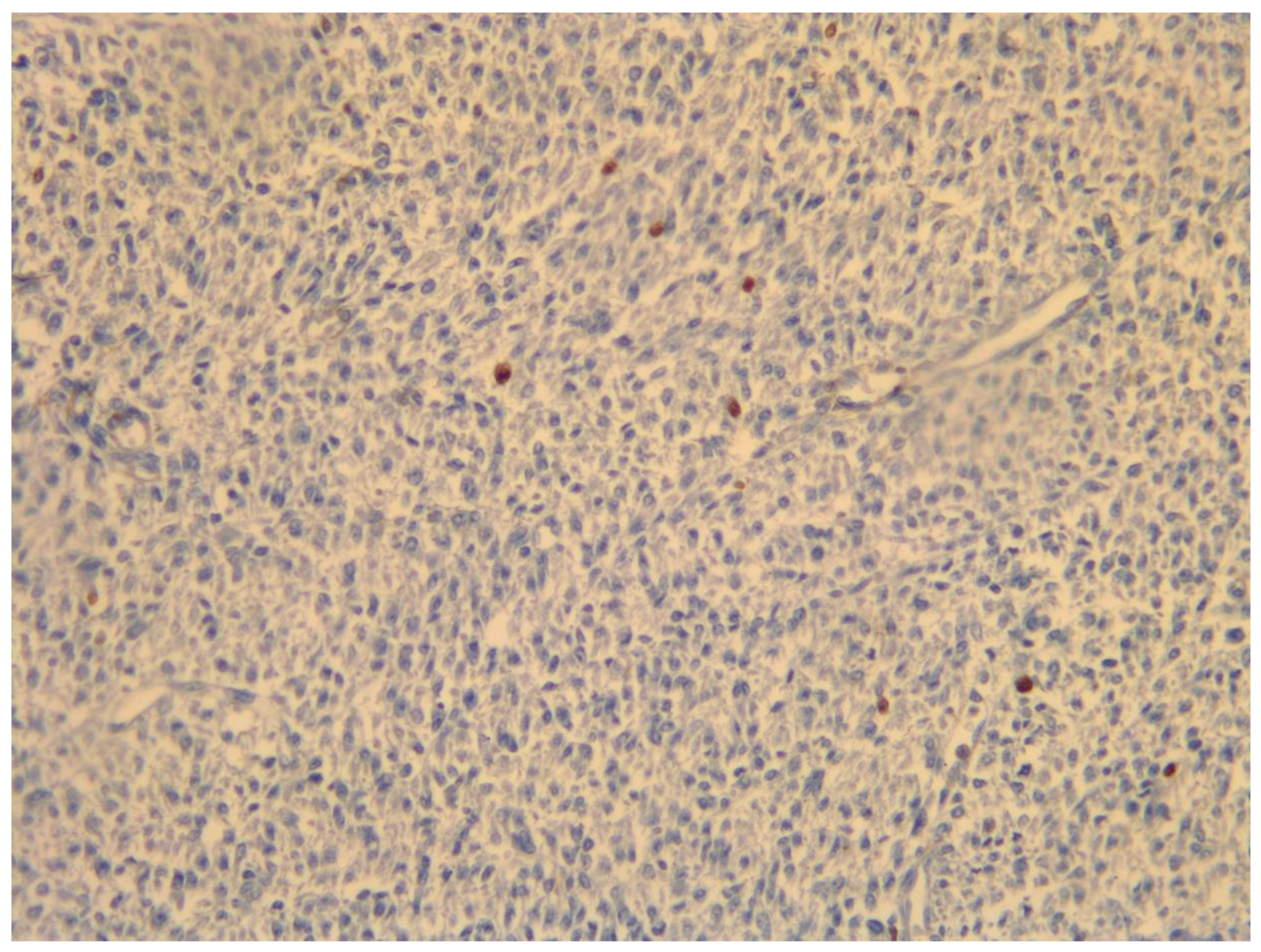 Medicina 59 01371 g006