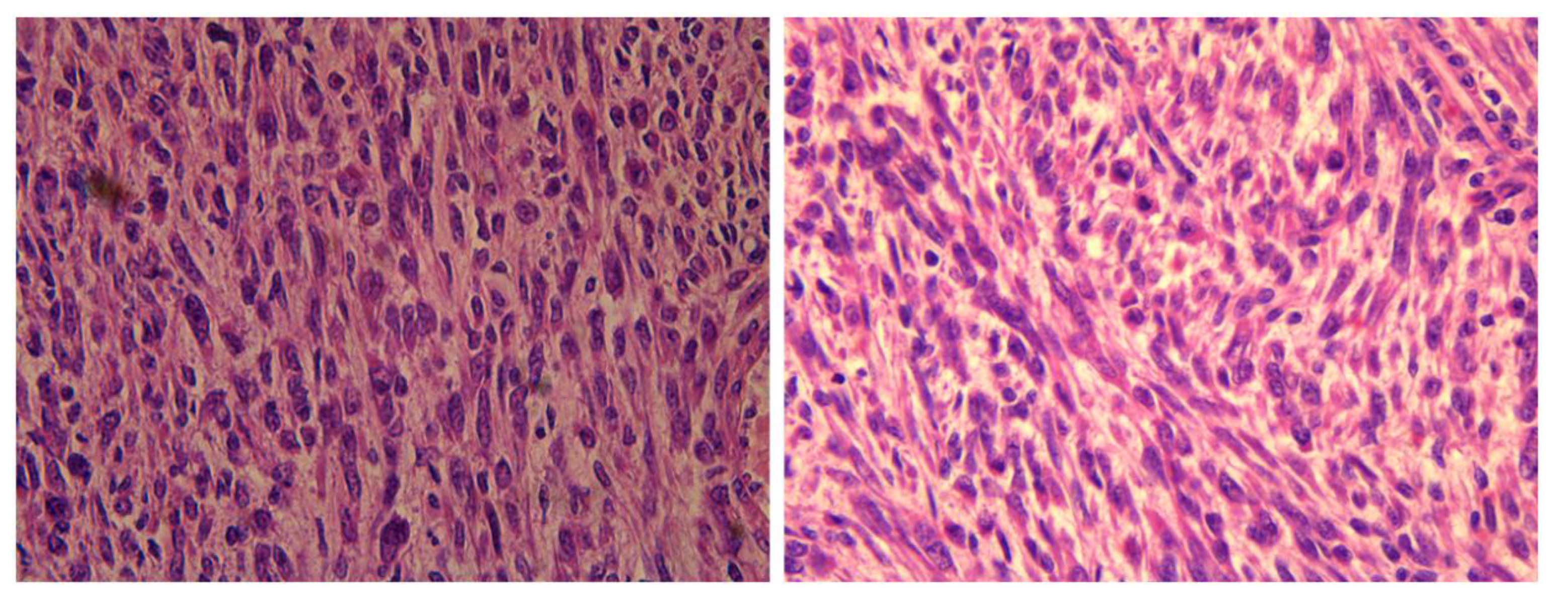 Medicina 59 01371 g007