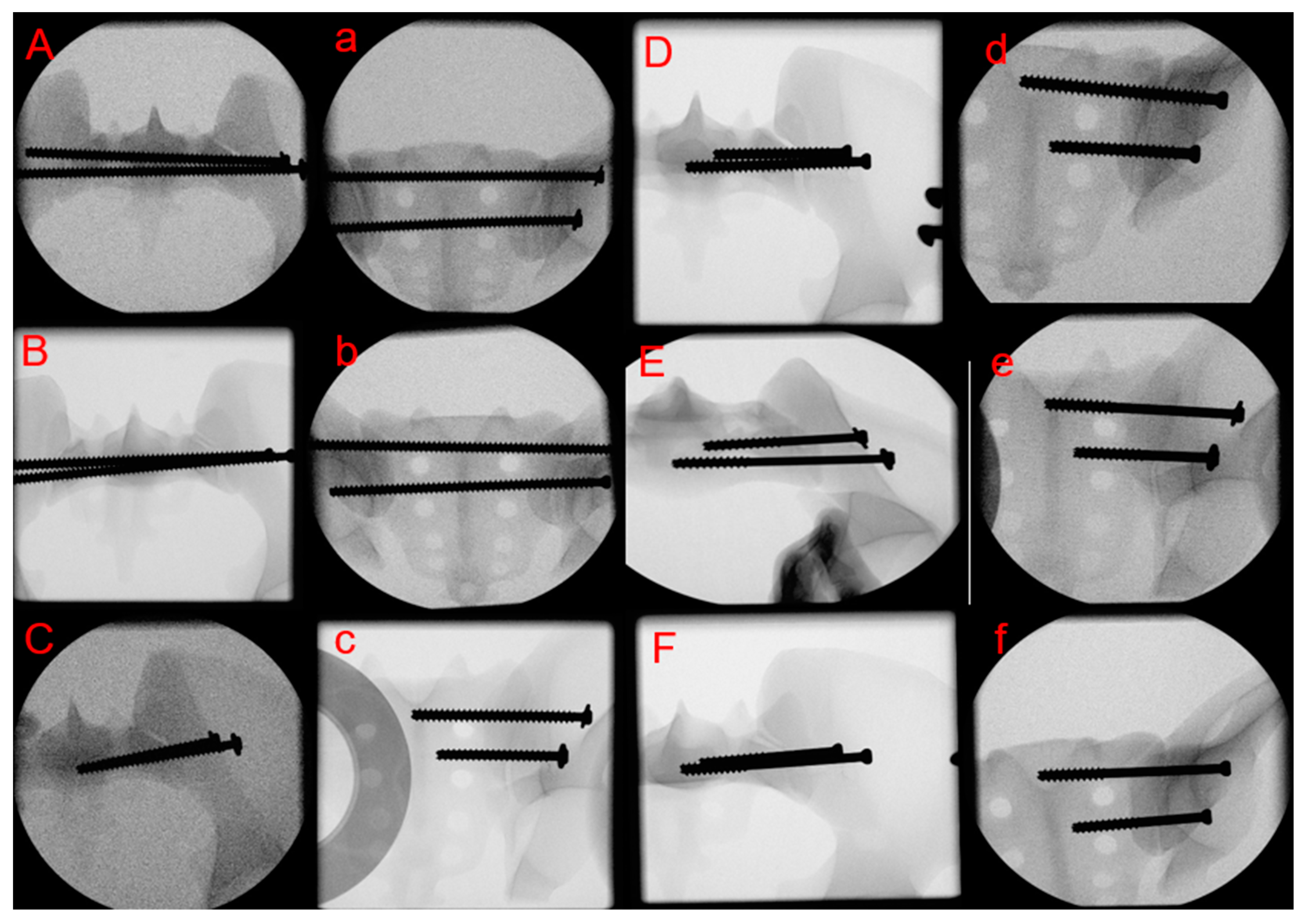 Medicina 59 01379 g001