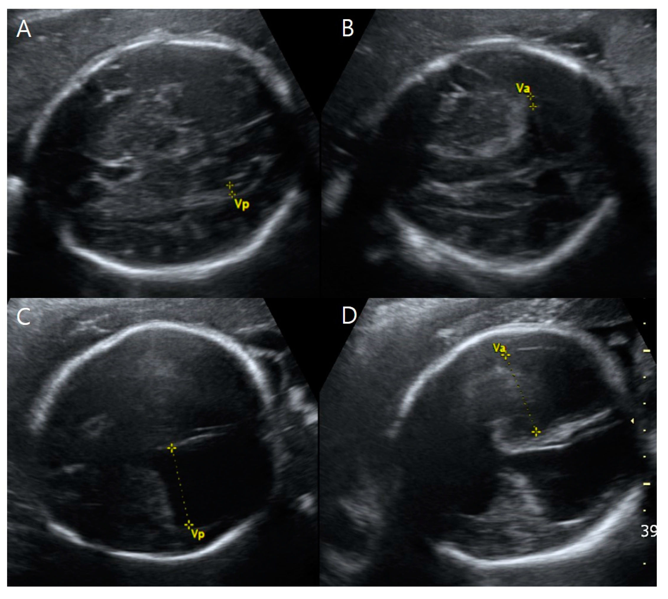 Medicina 59 01387 g001