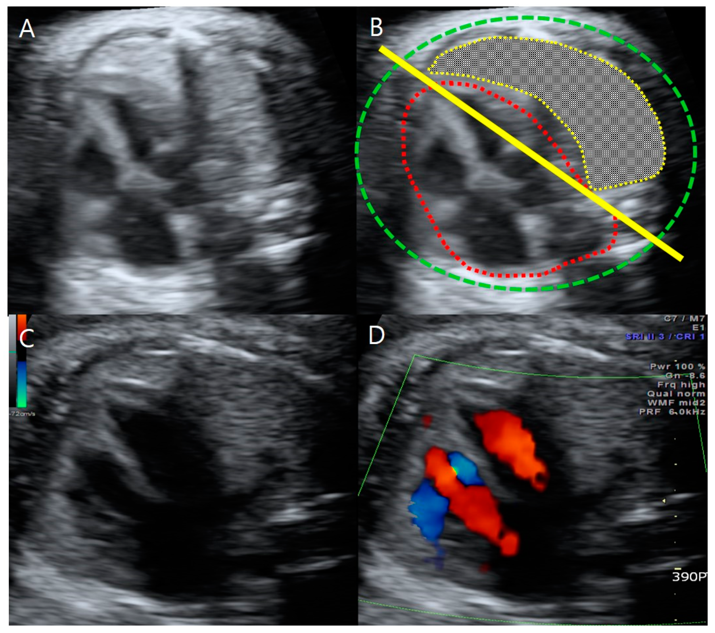 Medicina 59 01387 g003