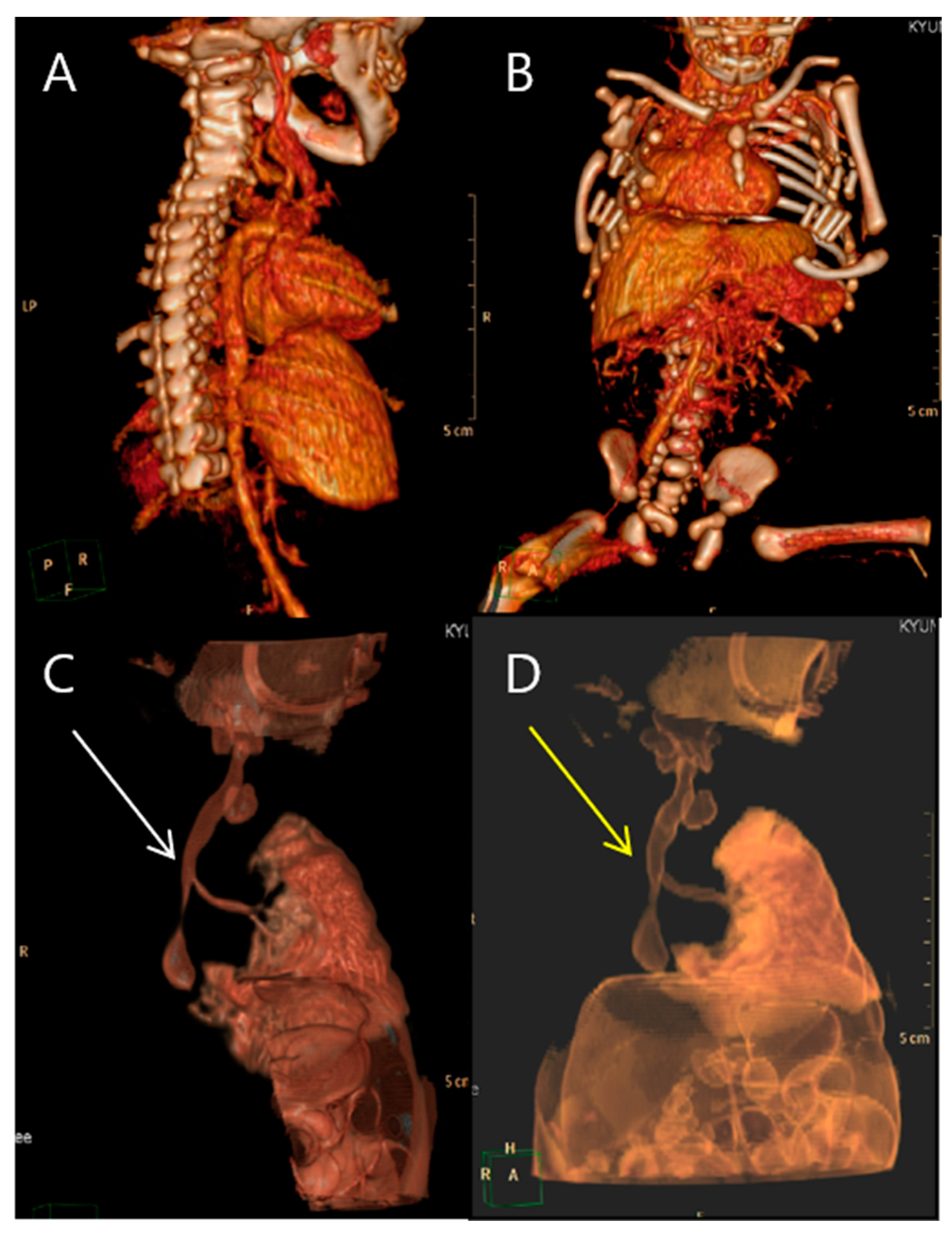 Medicina 59 01387 g008