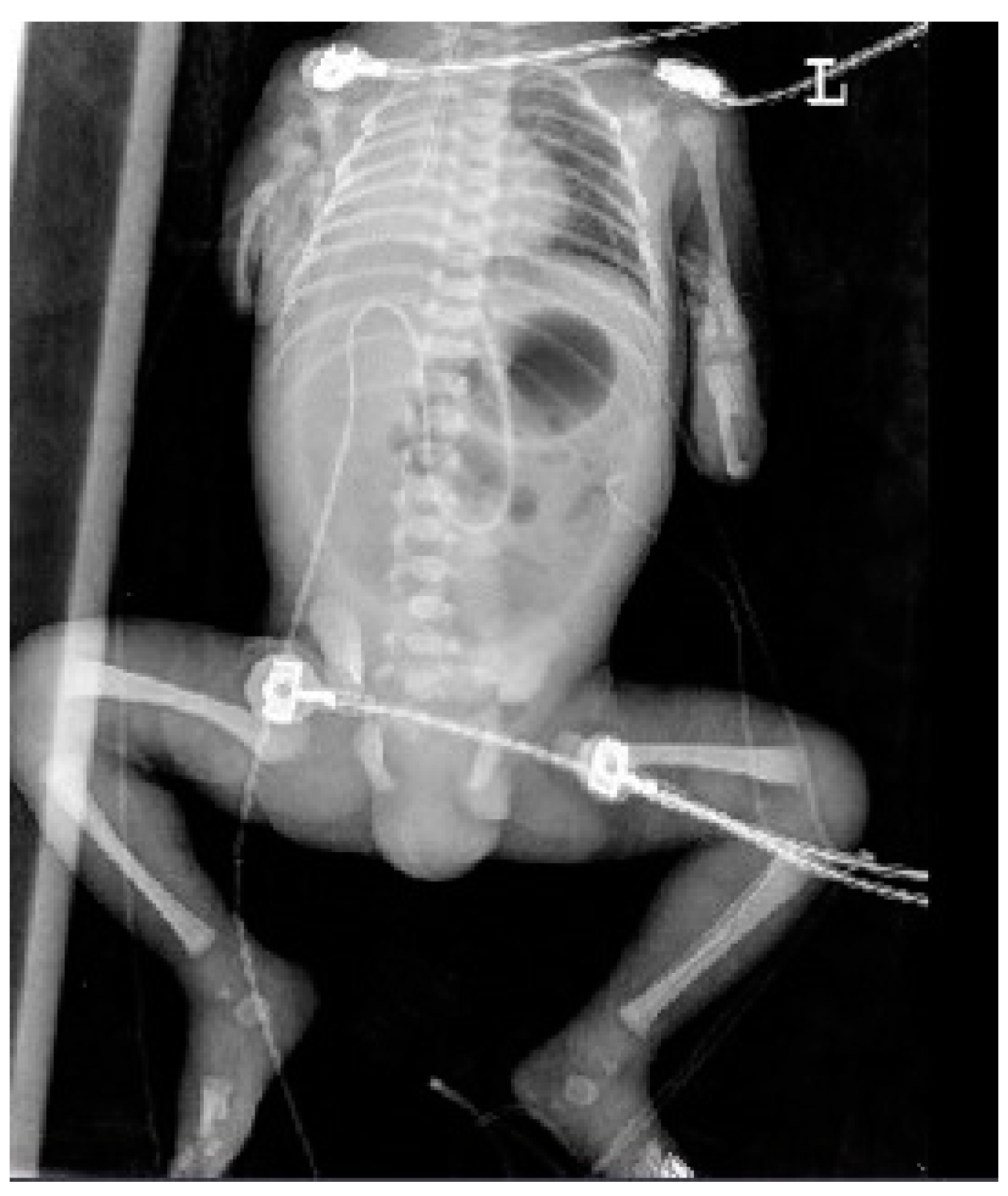 Medicina 59 01387 g010