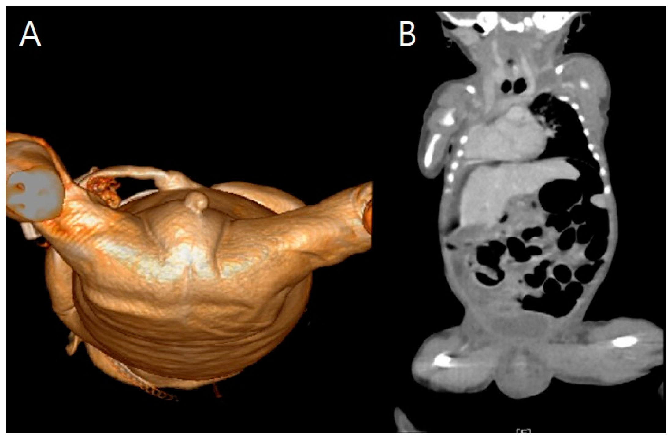 Medicina 59 01387 g012