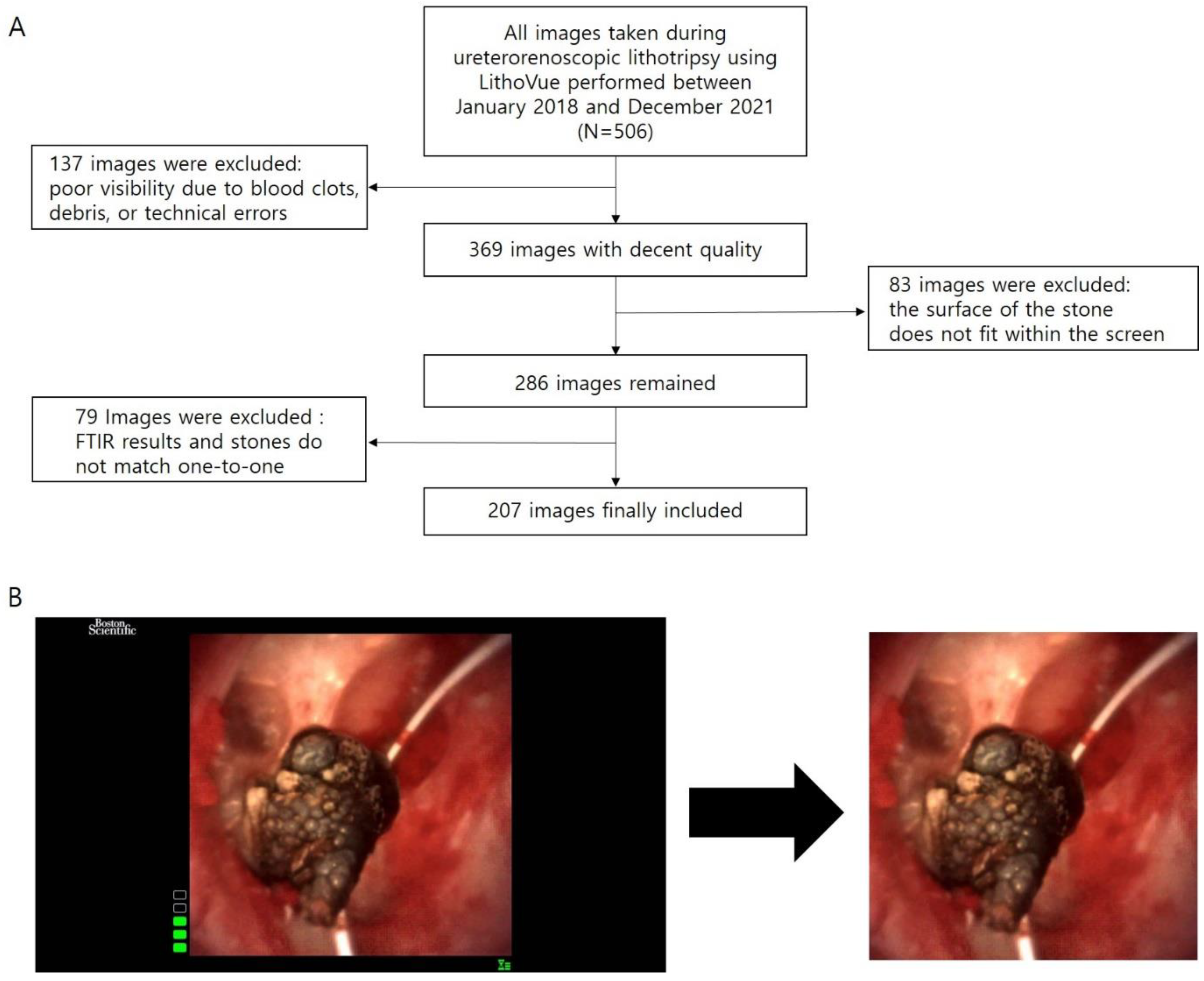 Medicina 59 01400 g001