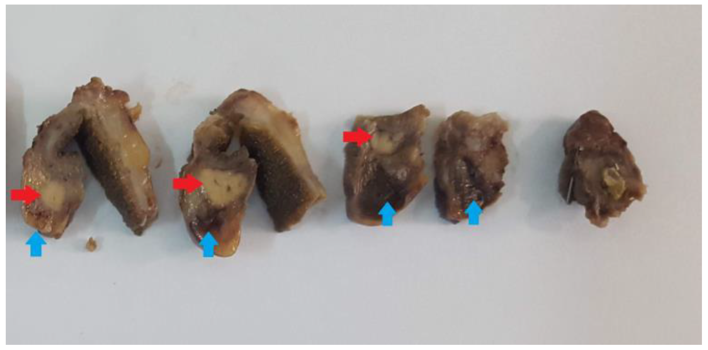Medicina 59 01407 g003 Medicina 59 01407 g003