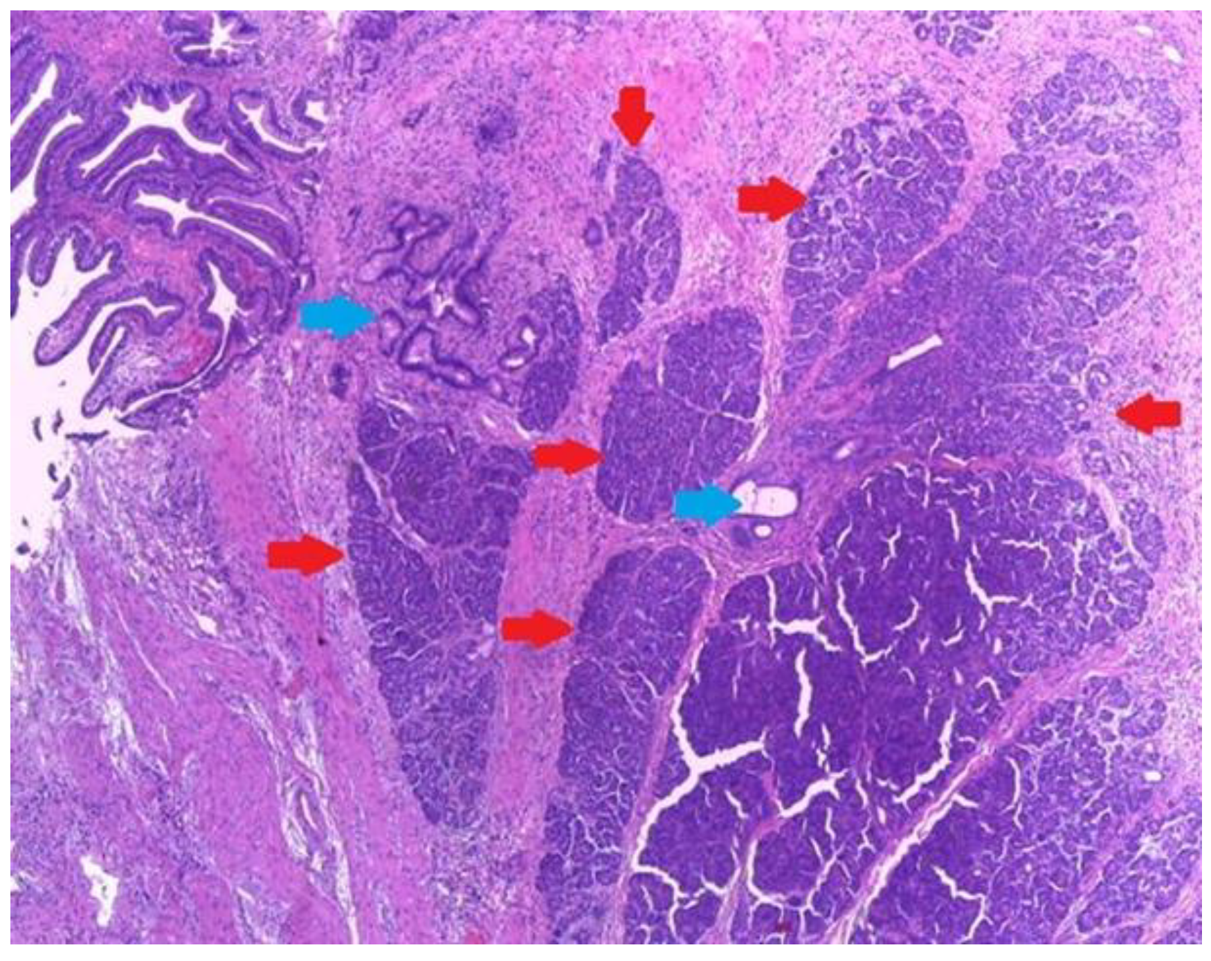 Medicina 59 01407 g004 Medicina 59 01407 g004