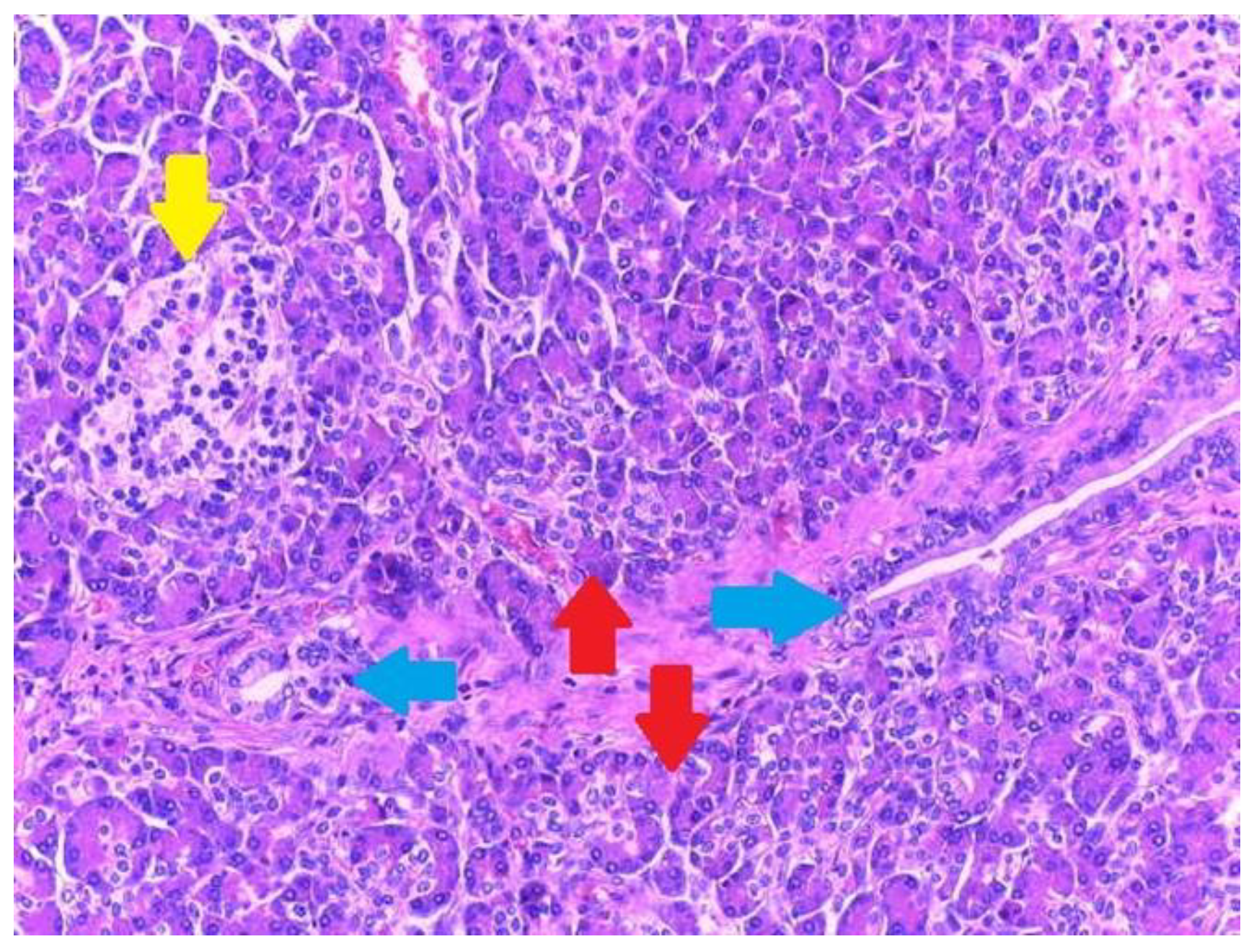 Medicina 59 01407 g005 Medicina 59 01407 g005