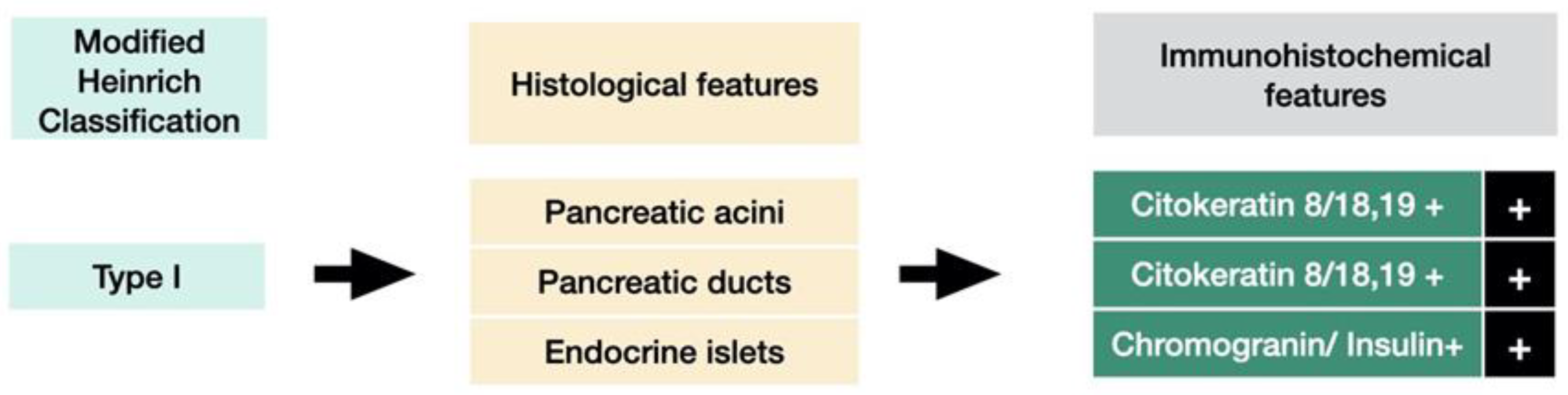 Medicina 59 01407 g006 Medicina 59 01407 g006