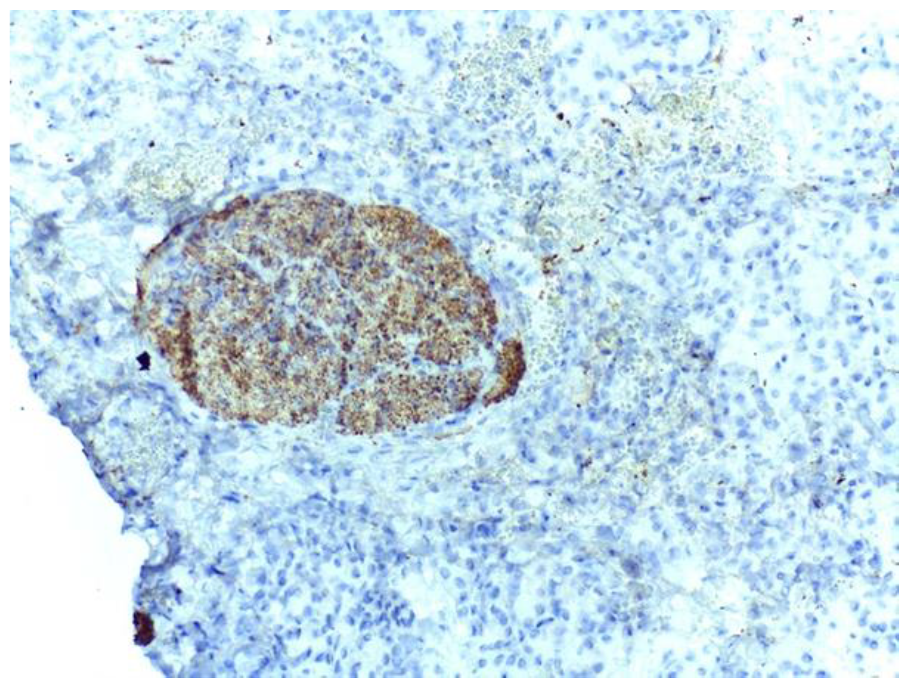 Medicina 59 01407 g007 Medicina 59 01407 g007