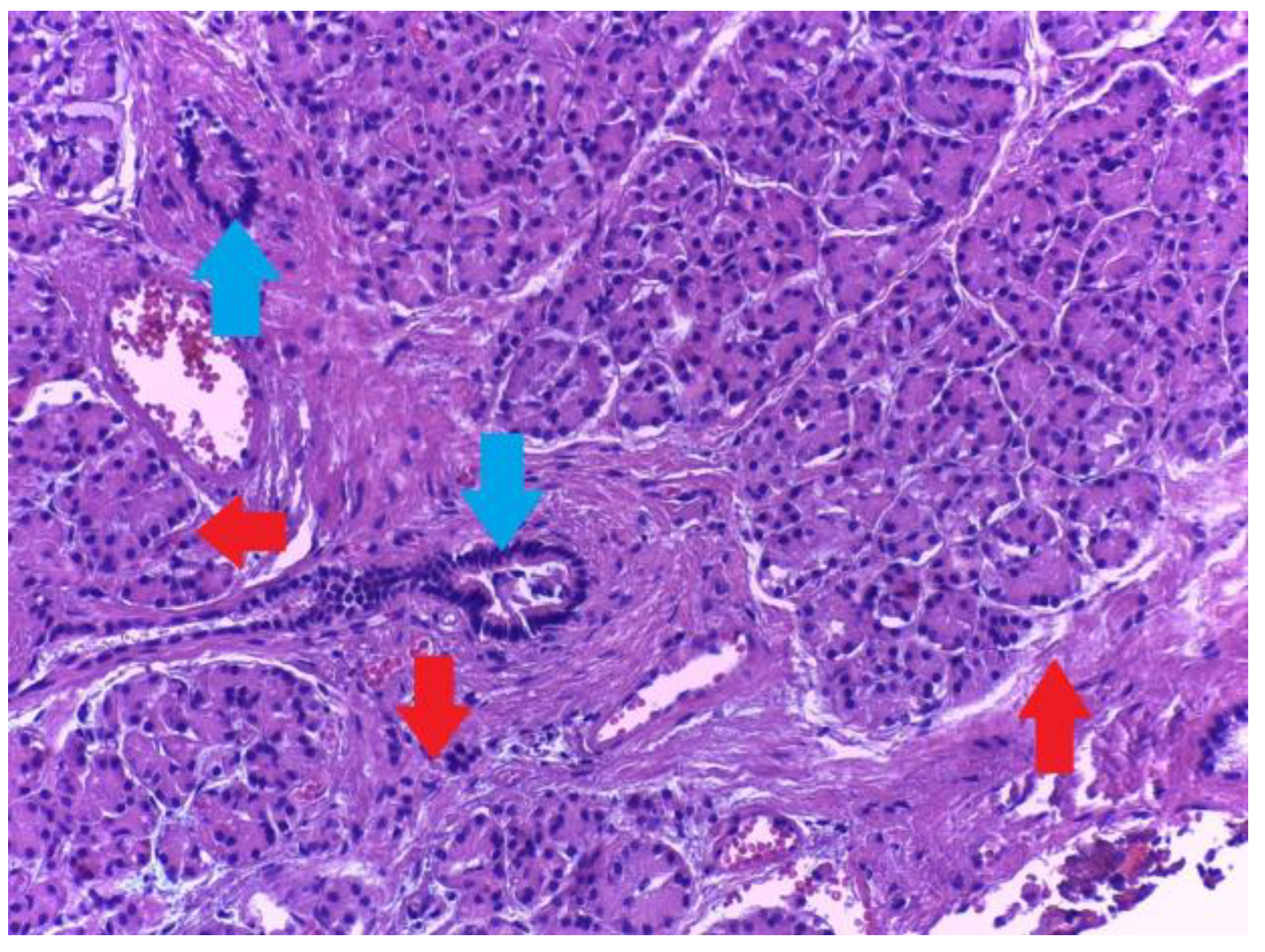 Medicina 59 01407 g012 Medicina 59 01407 g012