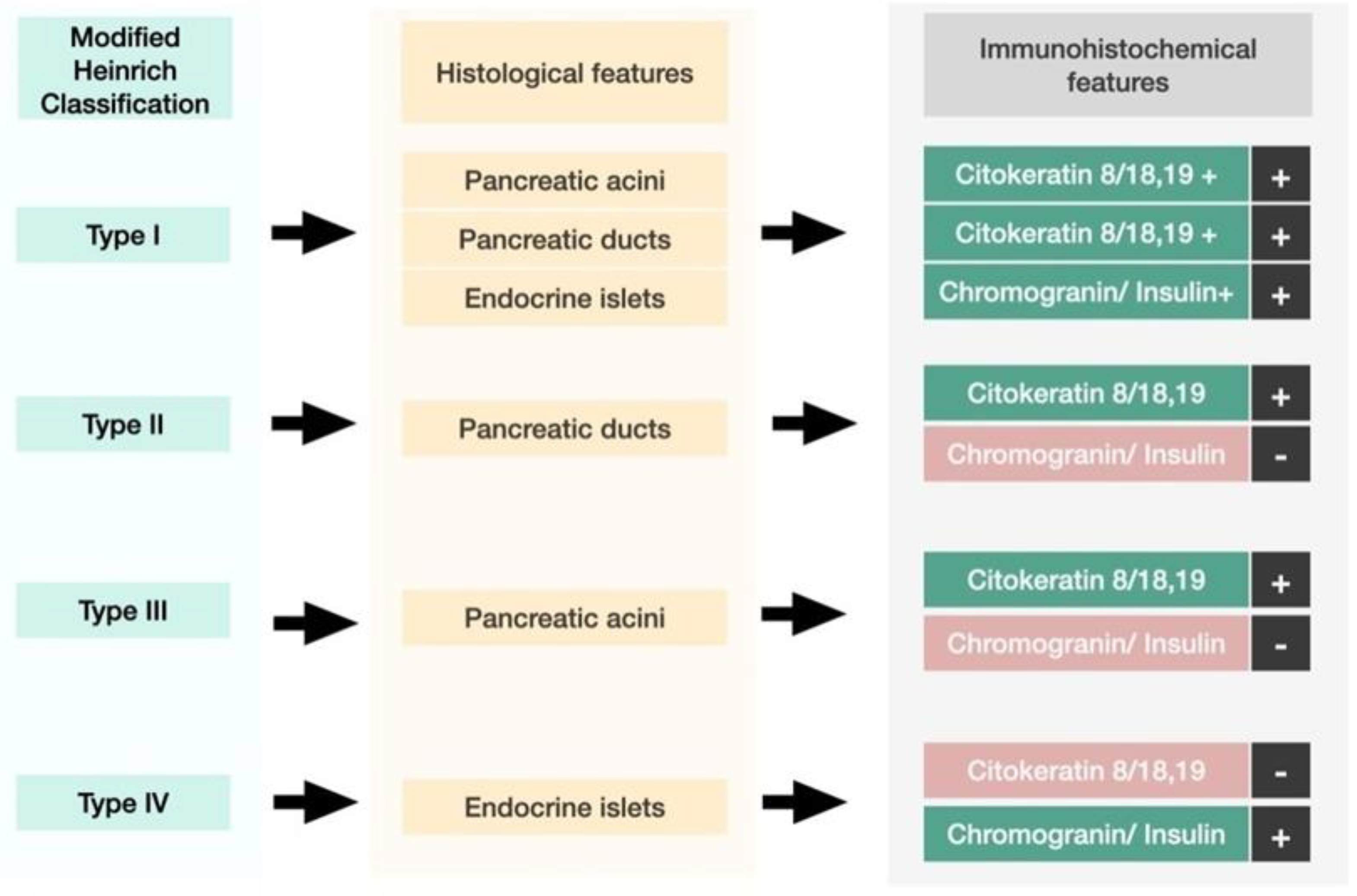 Medicina 59 01407 g018 Medicina 59 01407 g018