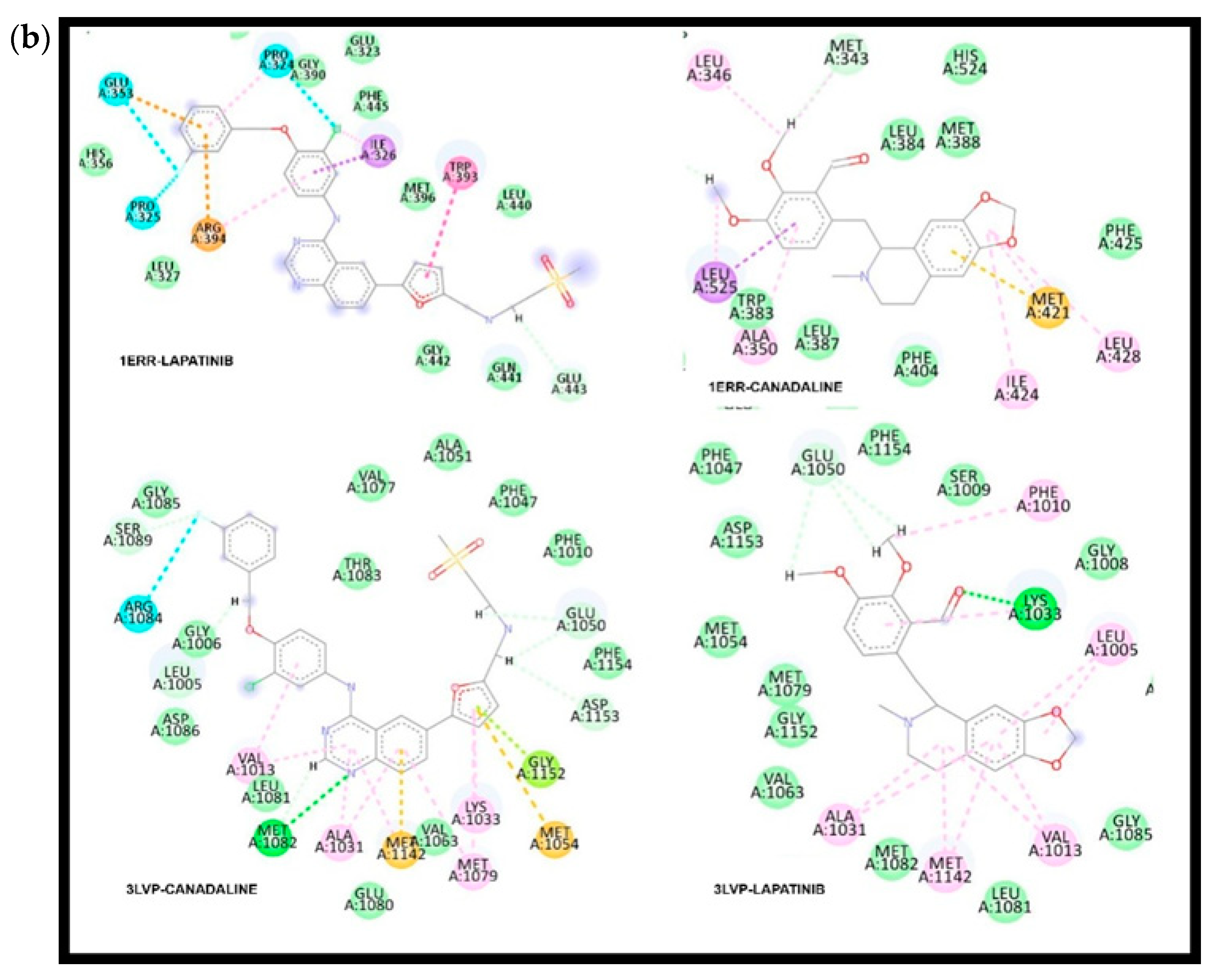 Medicina 59 01412 g003b