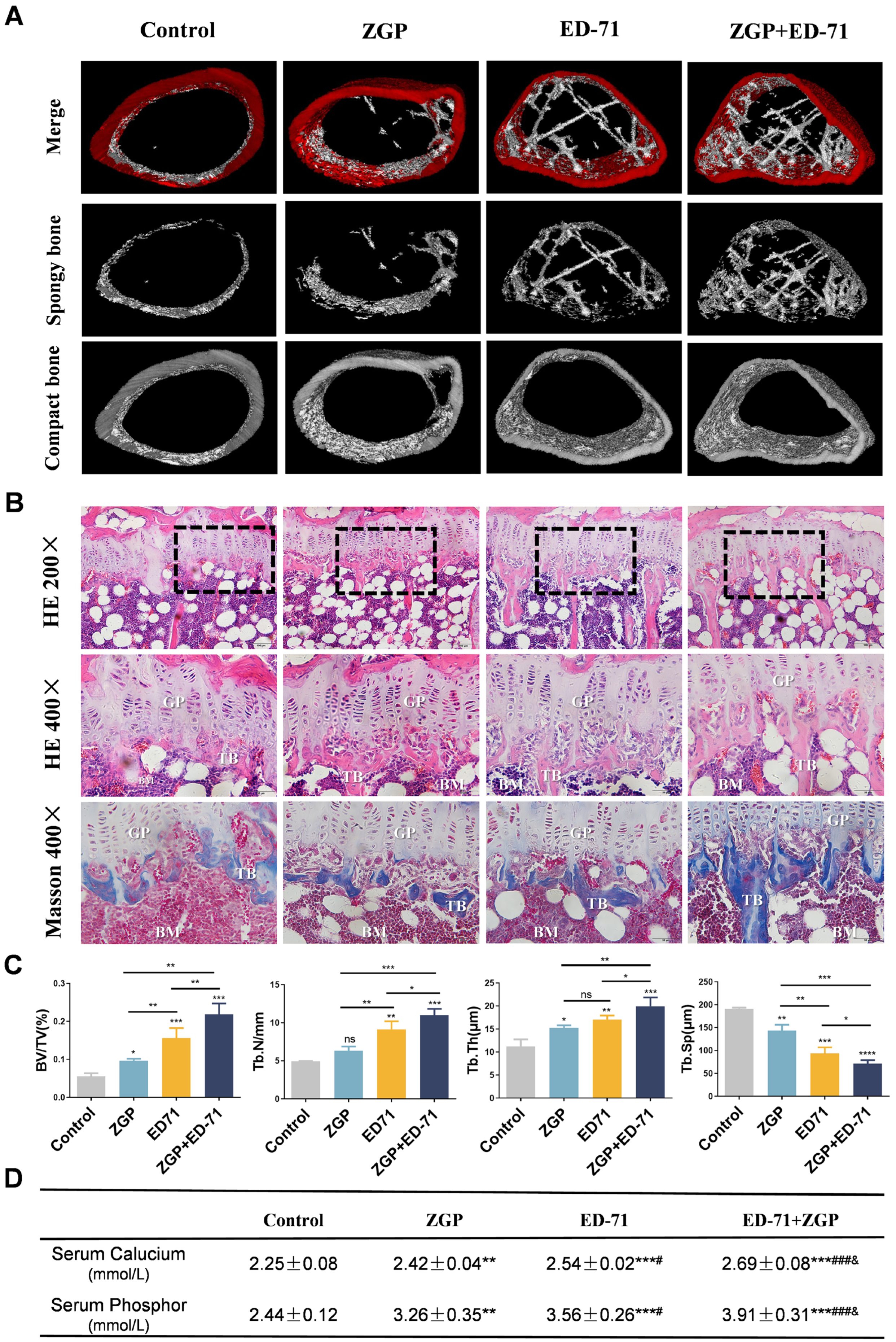 Medicina 59 01414 g002