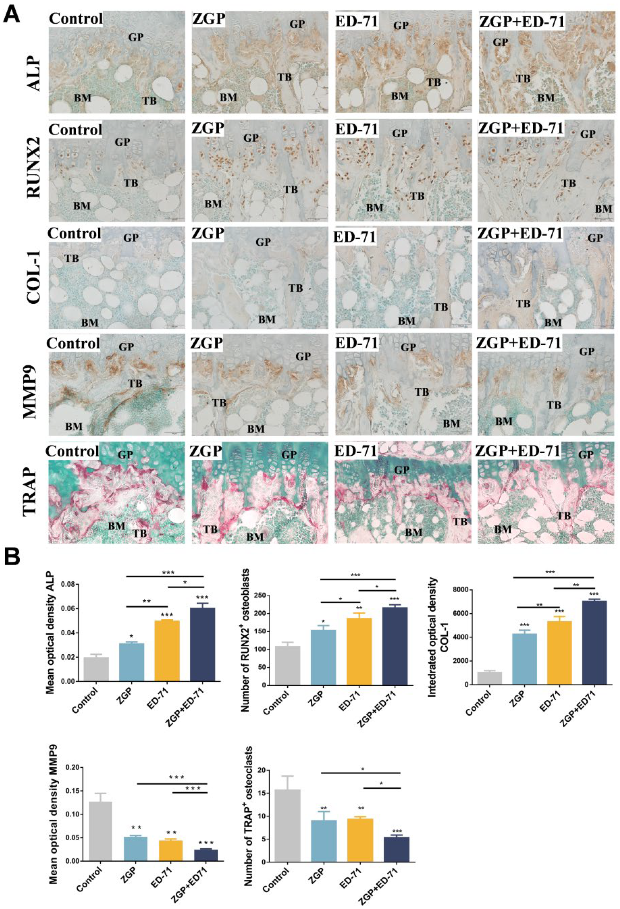 Medicina 59 01414 g003