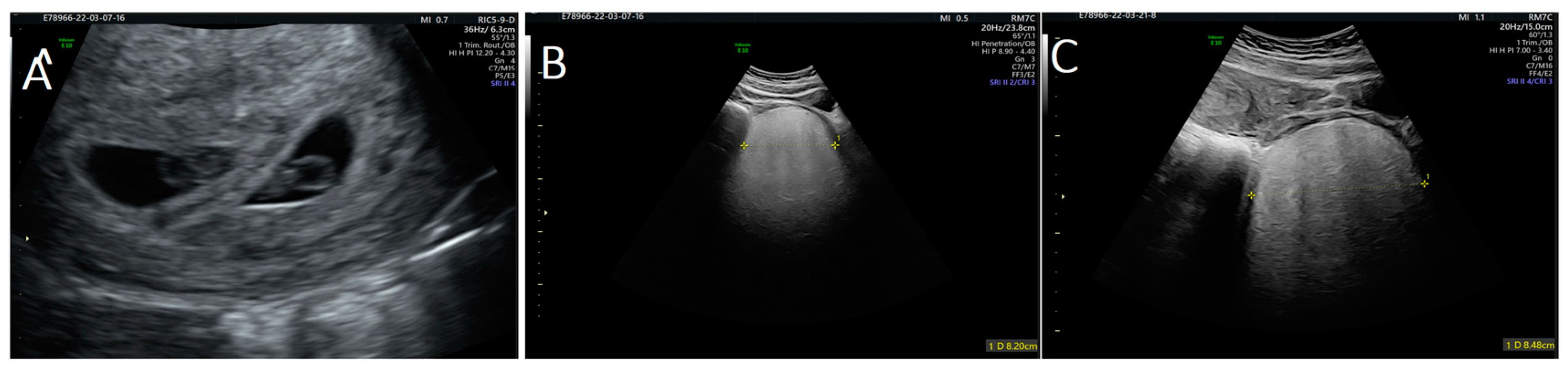 Medicina 59 01417 g001