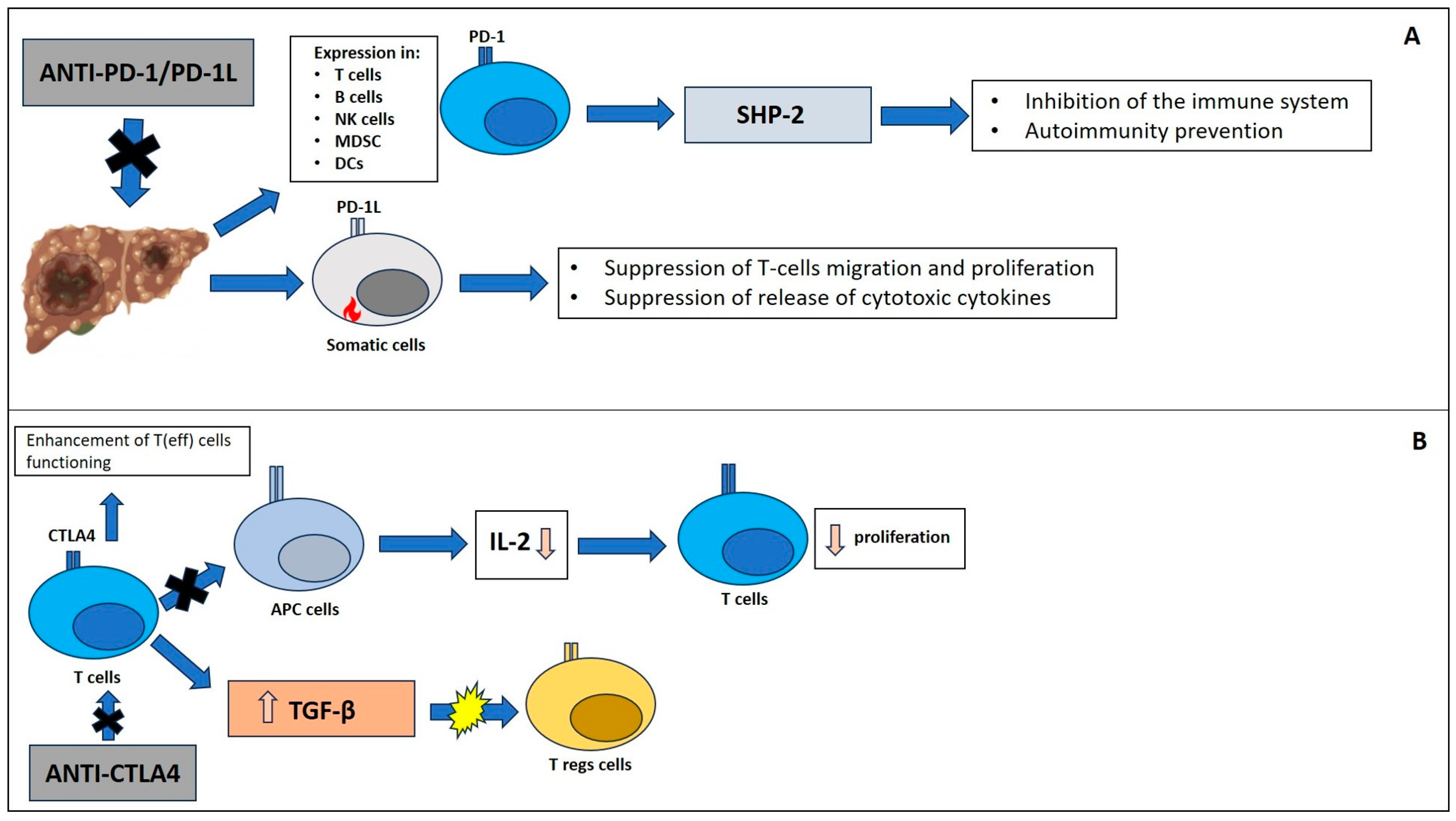 Medicina 59 01427 g001