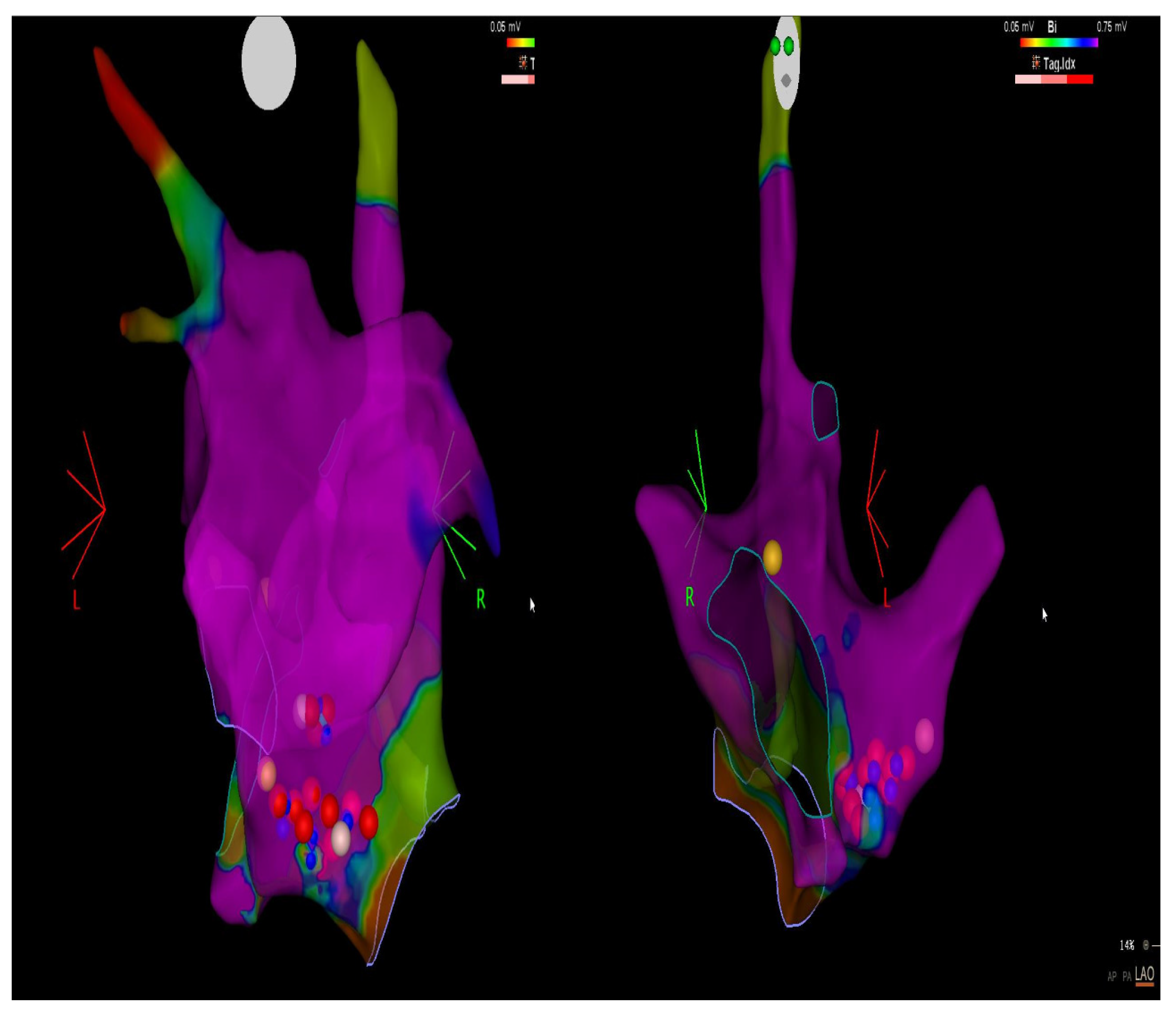 Medicina 59 01431 g001