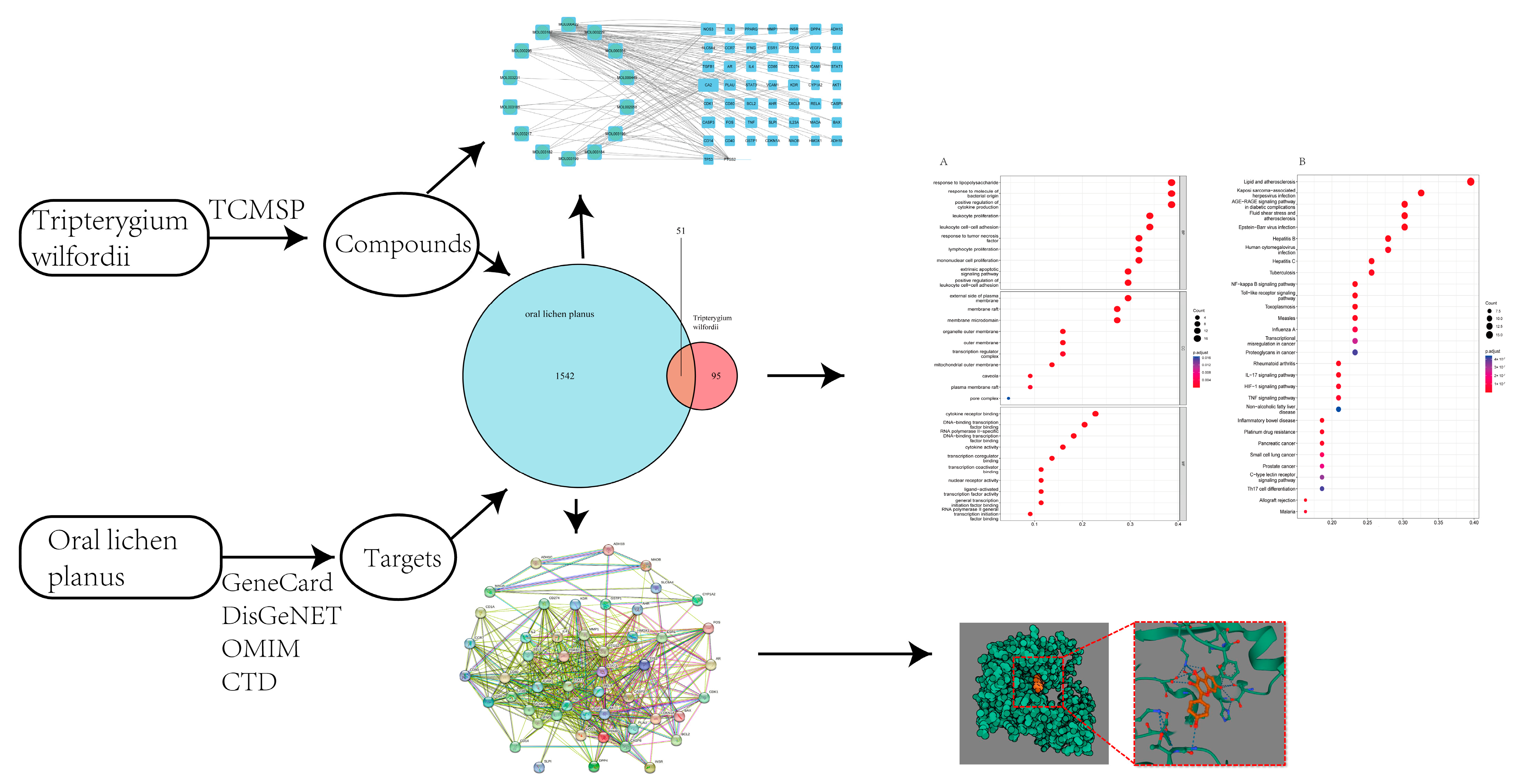 Medicina 59 01448 g001
