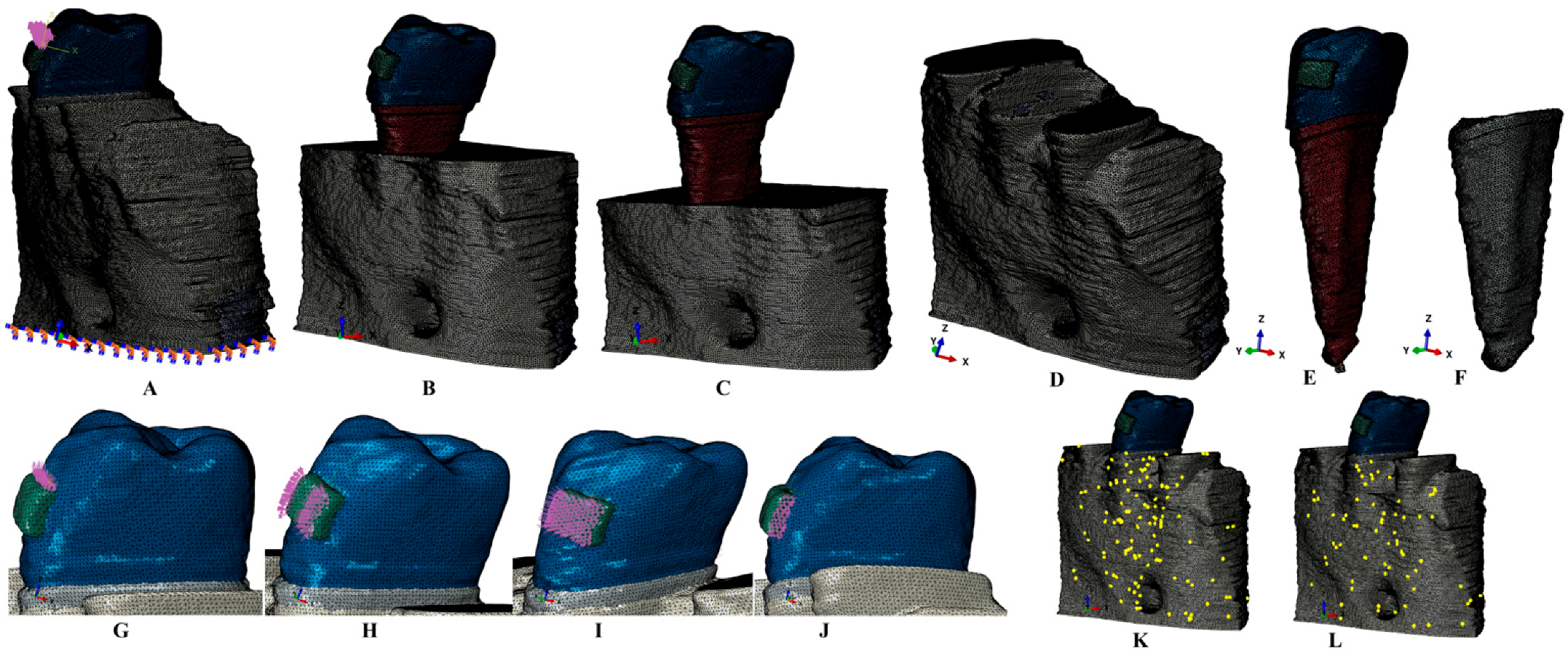 Medicina 59 01462 g001