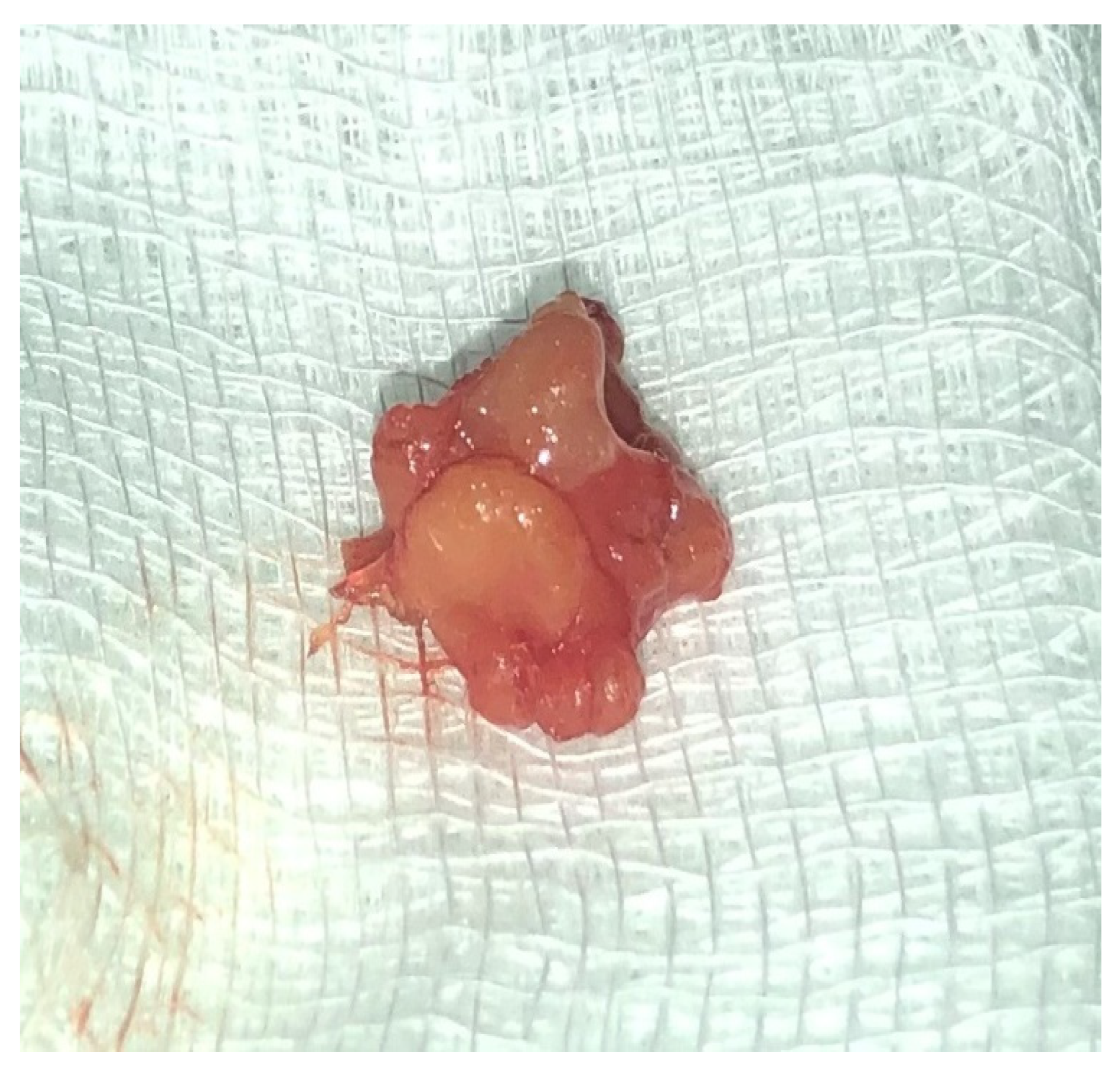 Medicina 59 01465 g002