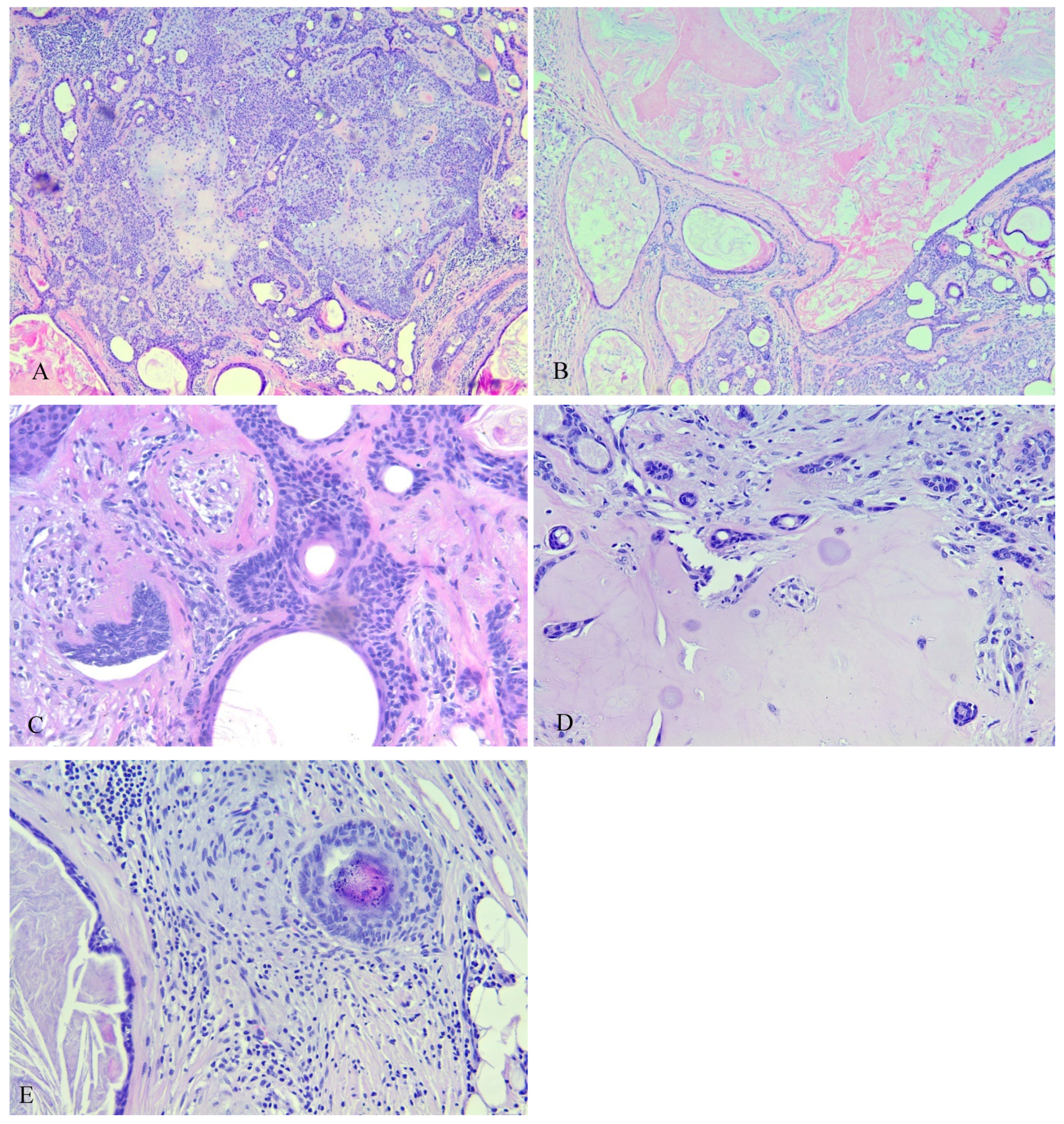 Medicina 59 01465 g004