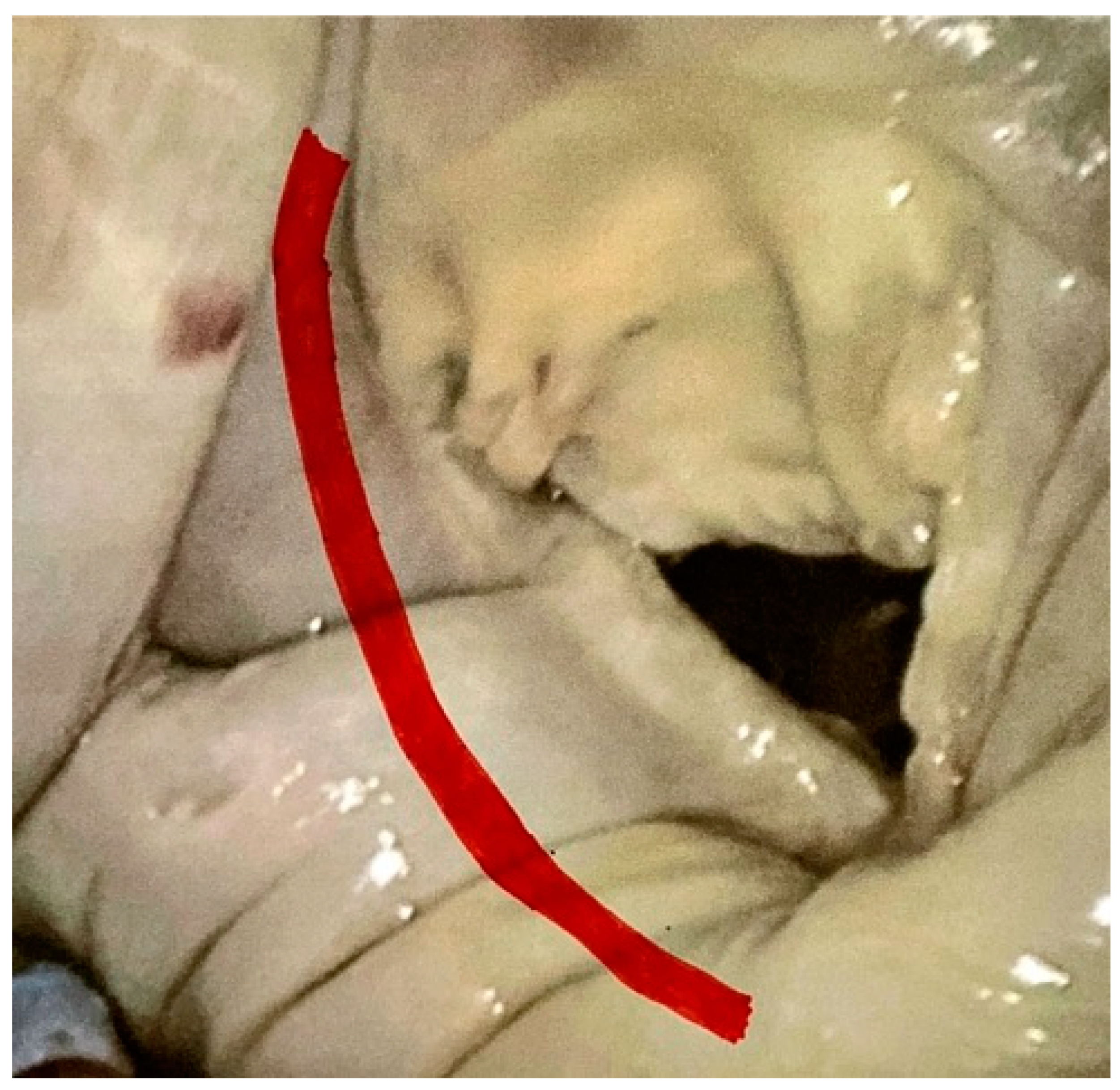 Medicina 59 01470 g002