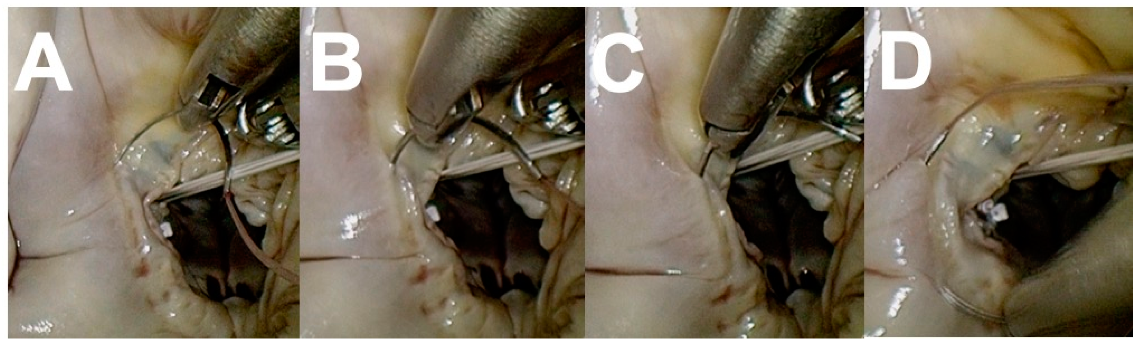 Medicina 59 01470 g004