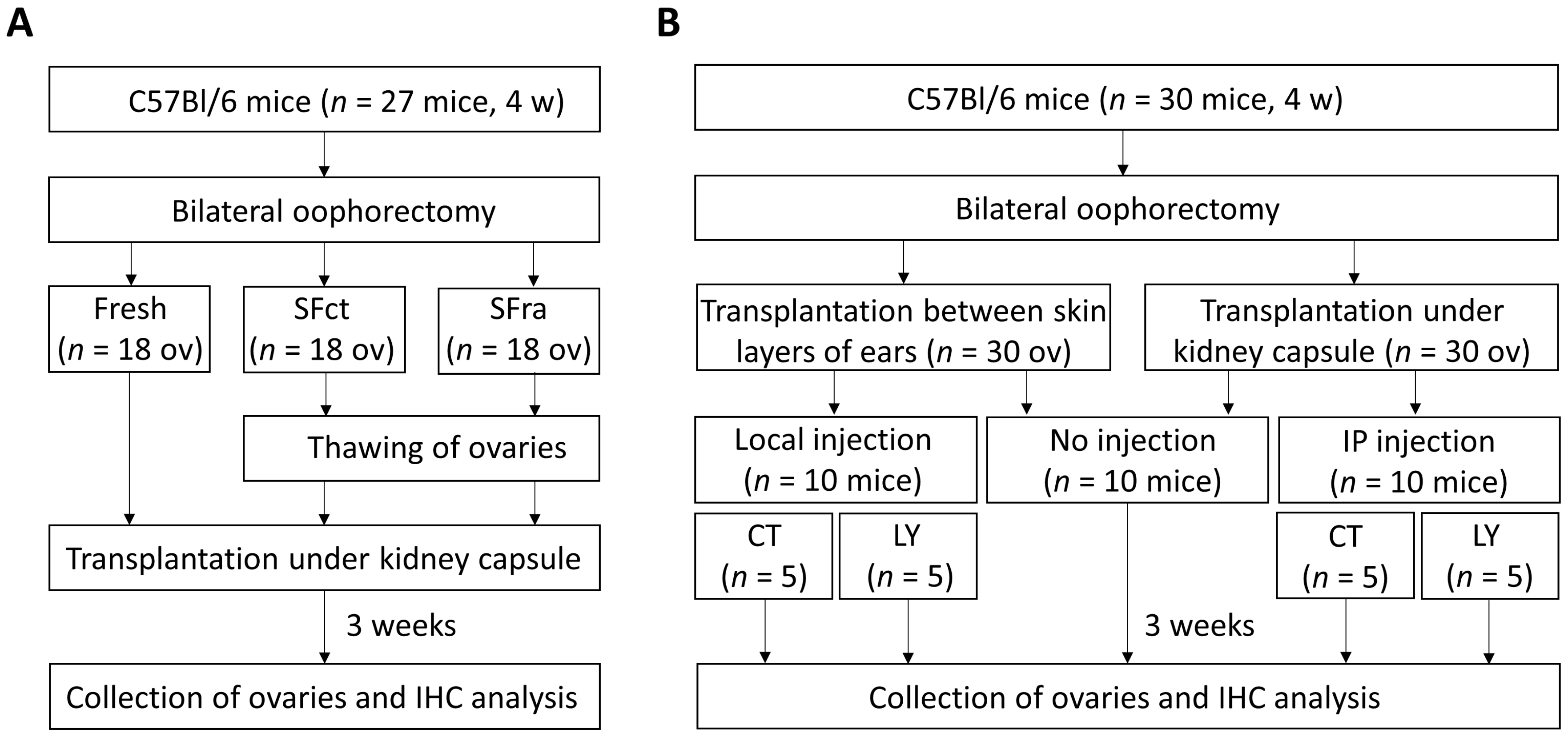 Medicina 59 01474 g001