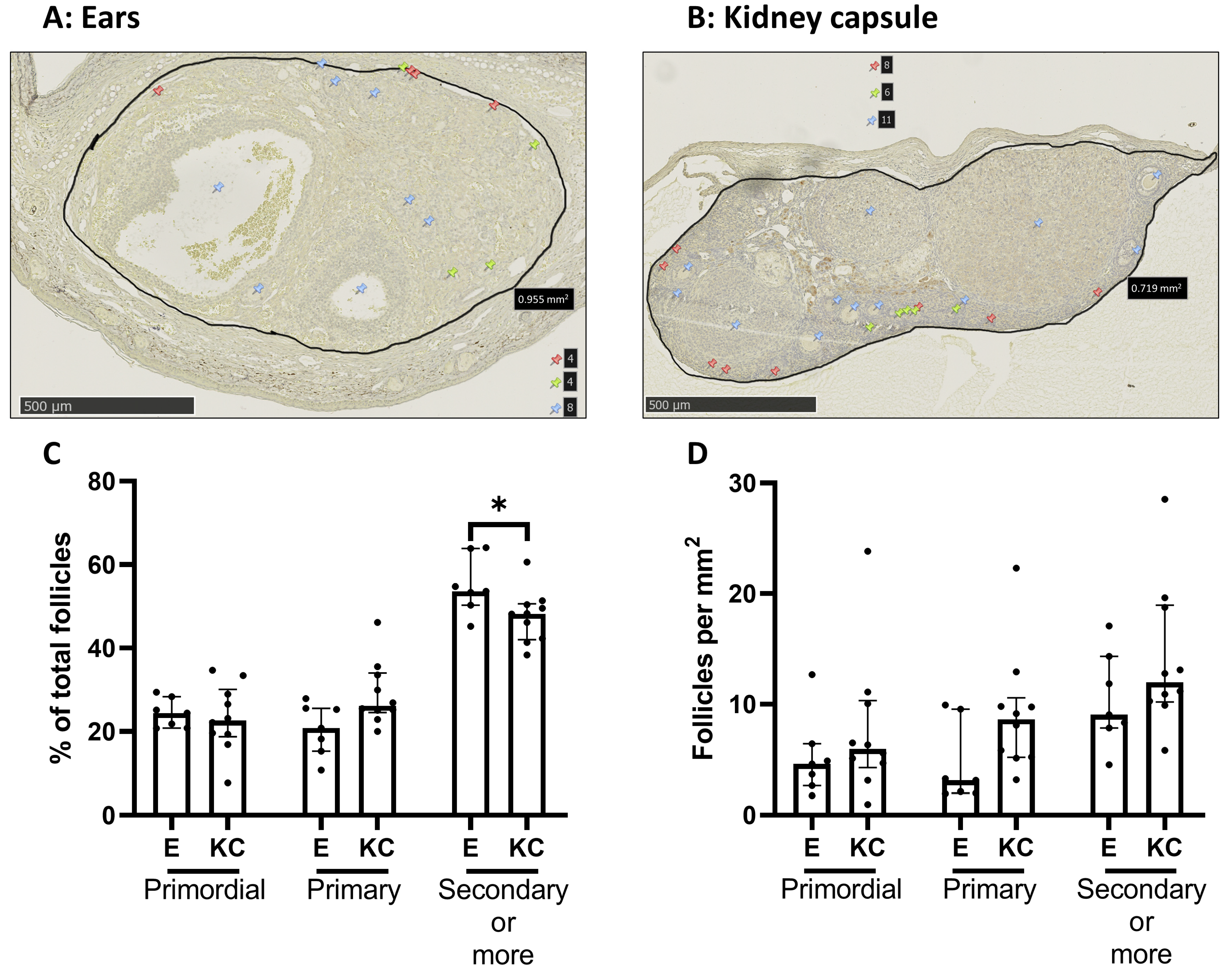 Medicina 59 01474 g004