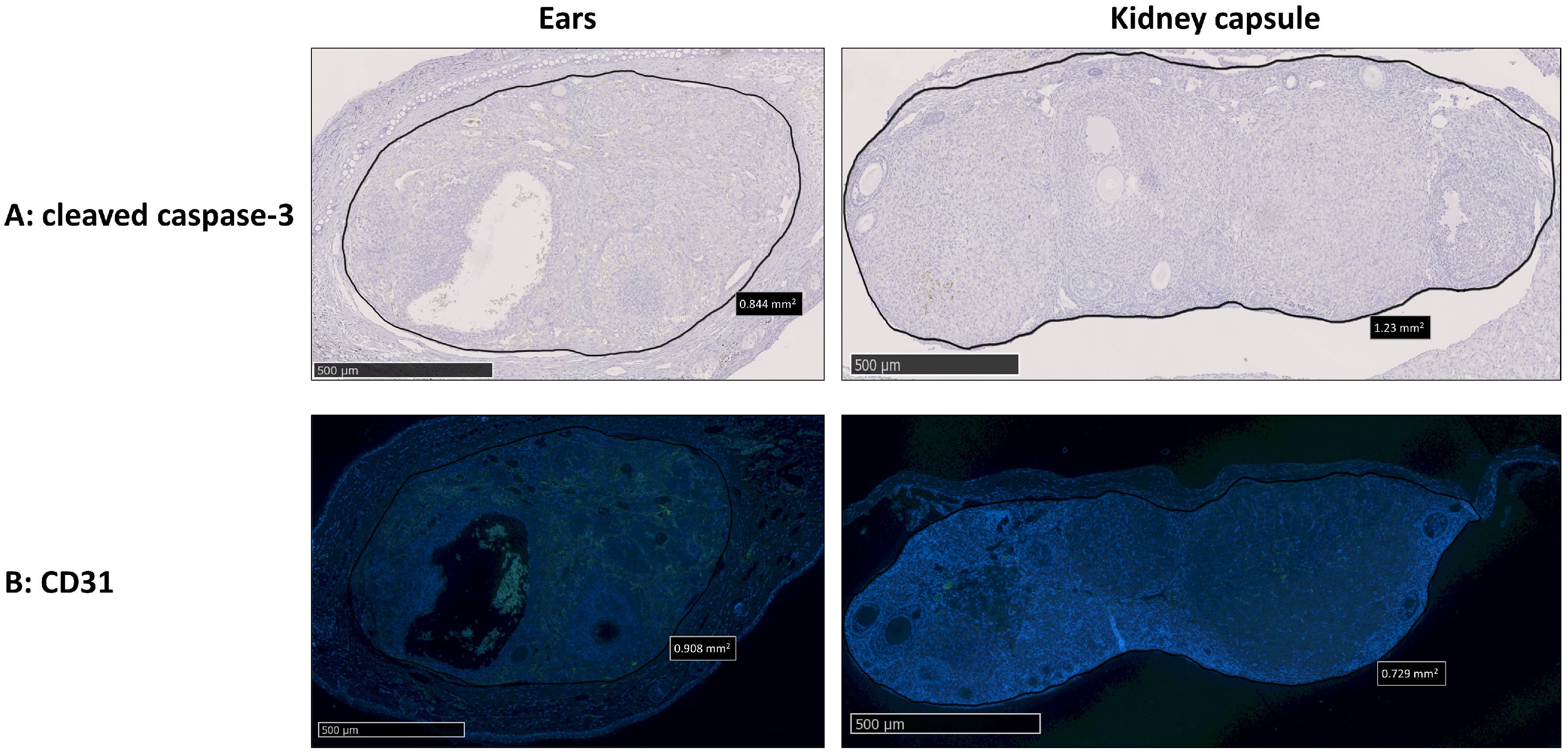 Medicina 59 01474 g005