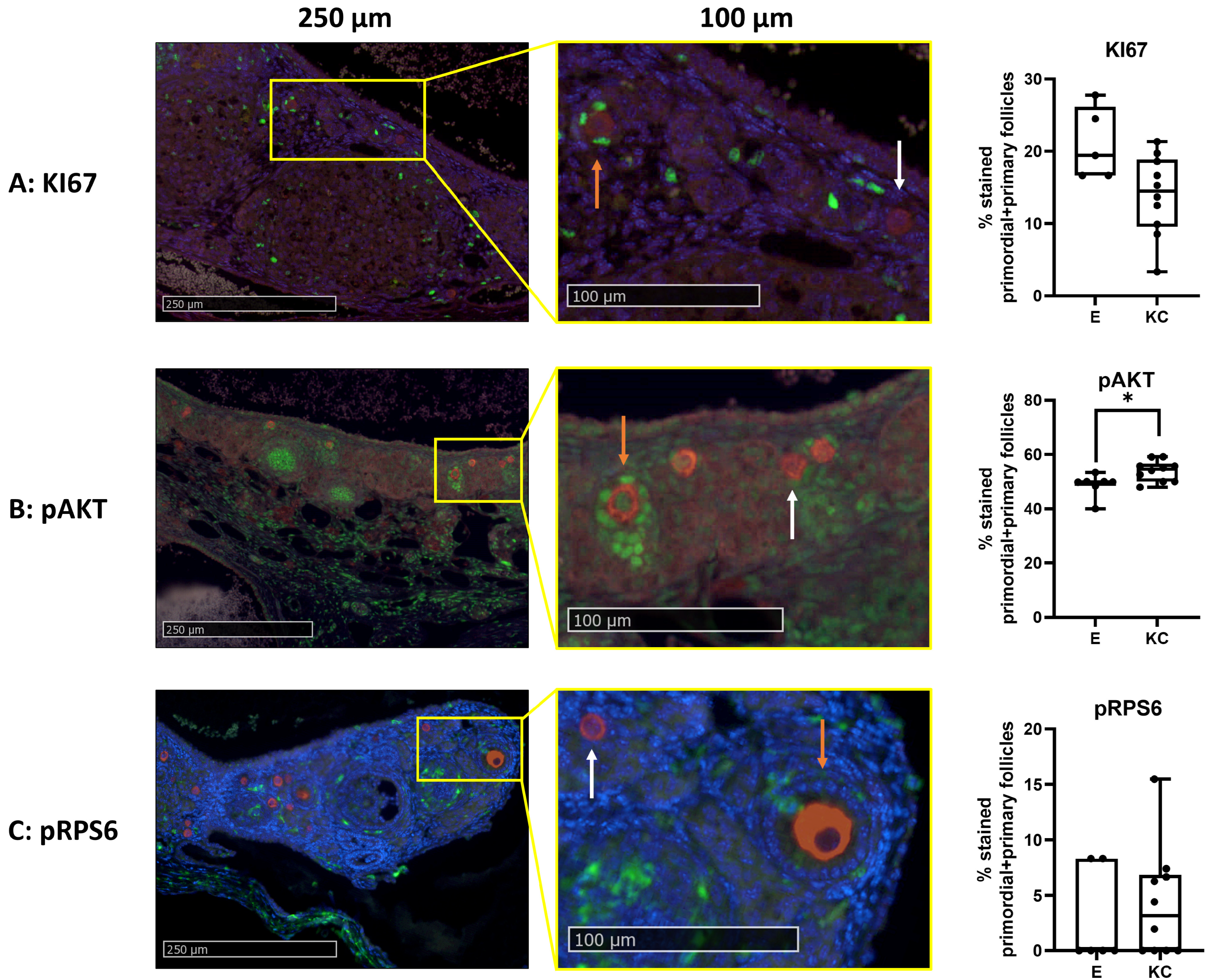 Medicina 59 01474 g006