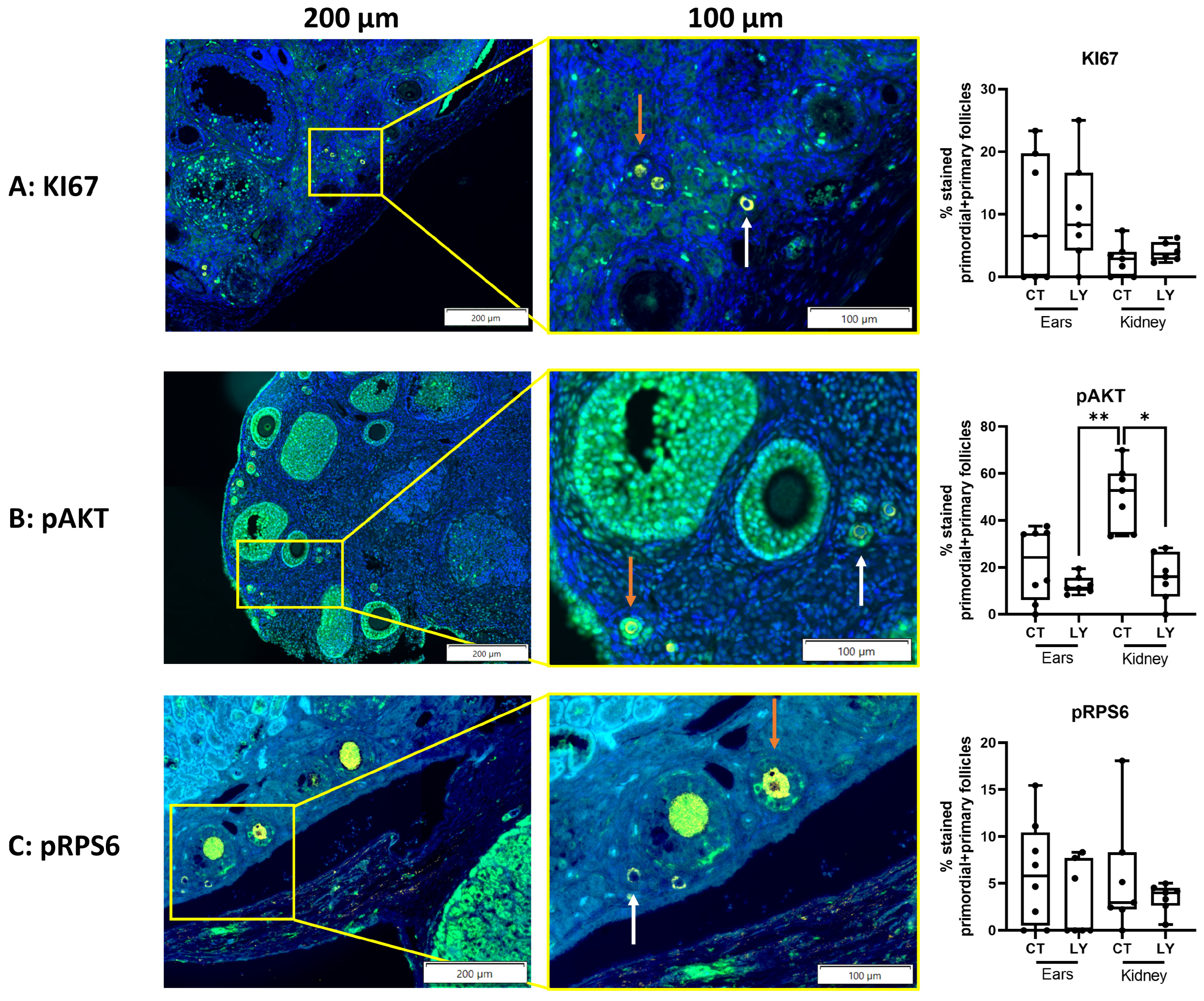 Medicina 59 01474 g009